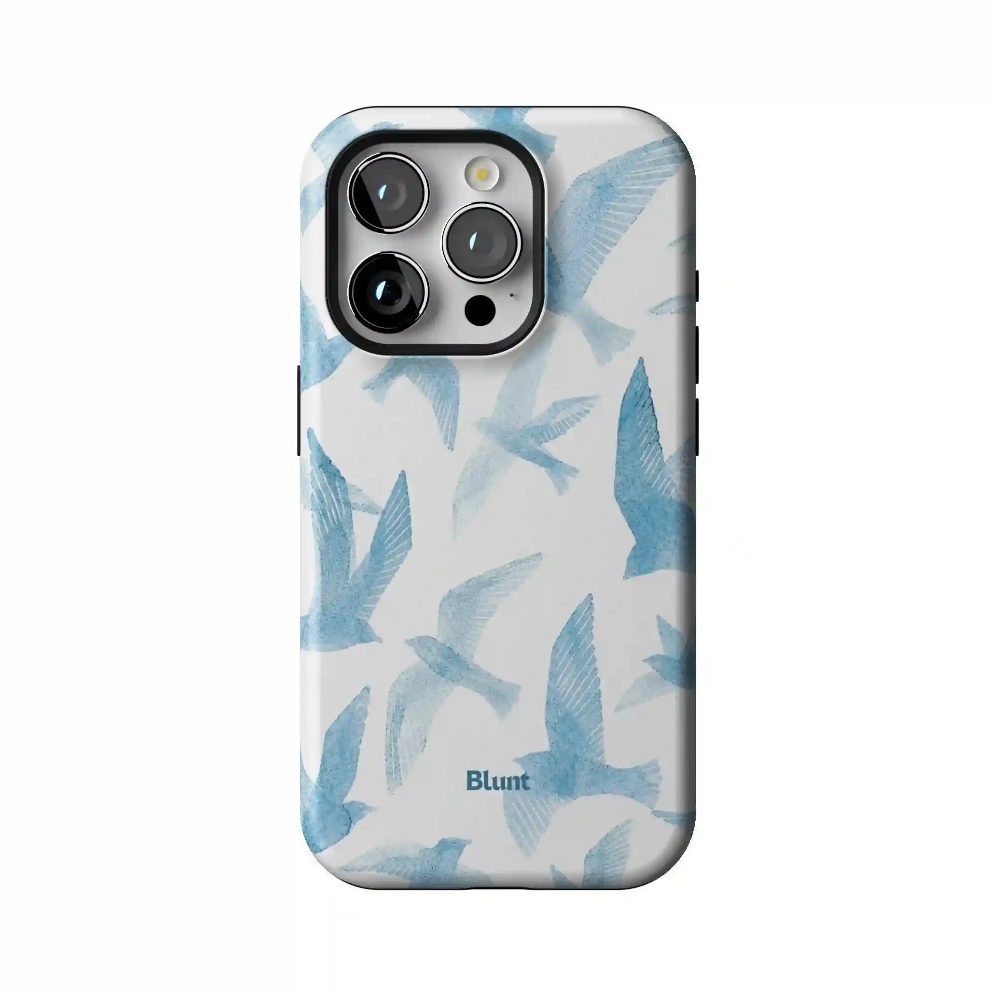 bluntcasesonline.com