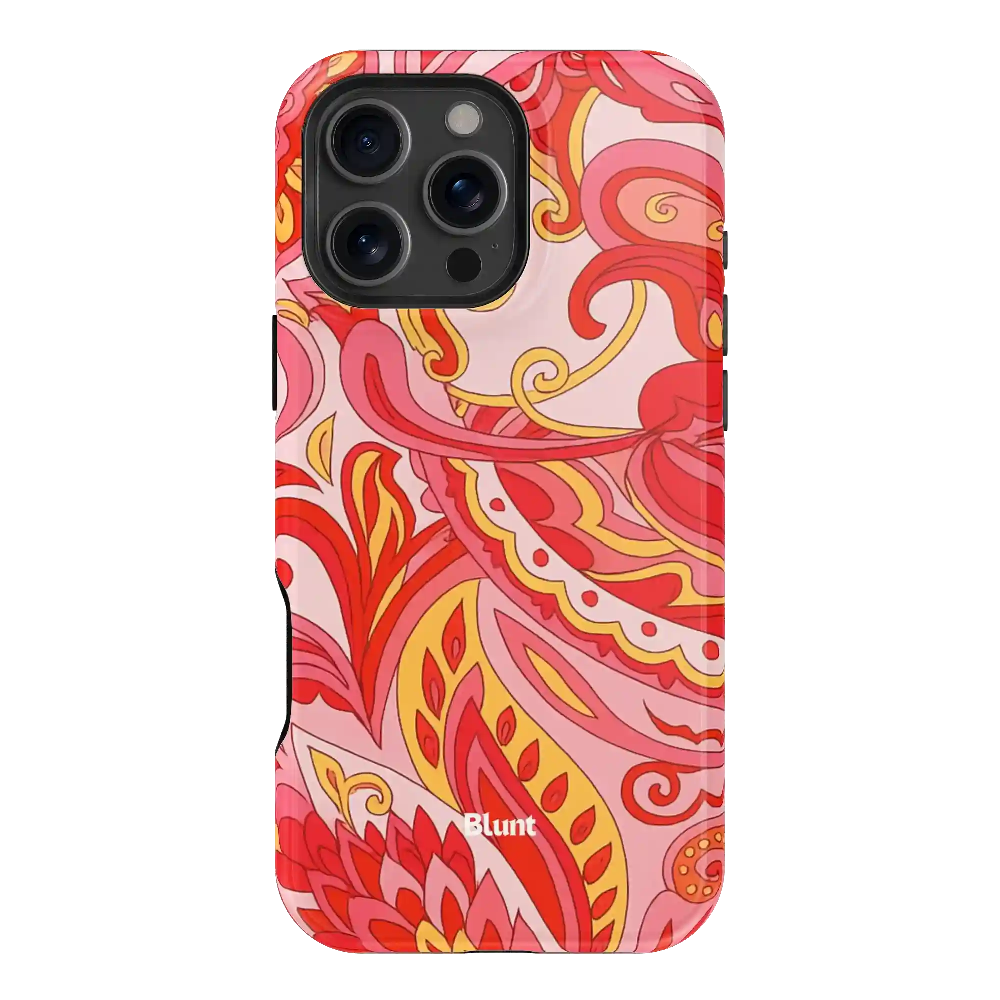bluntcasesonline.com