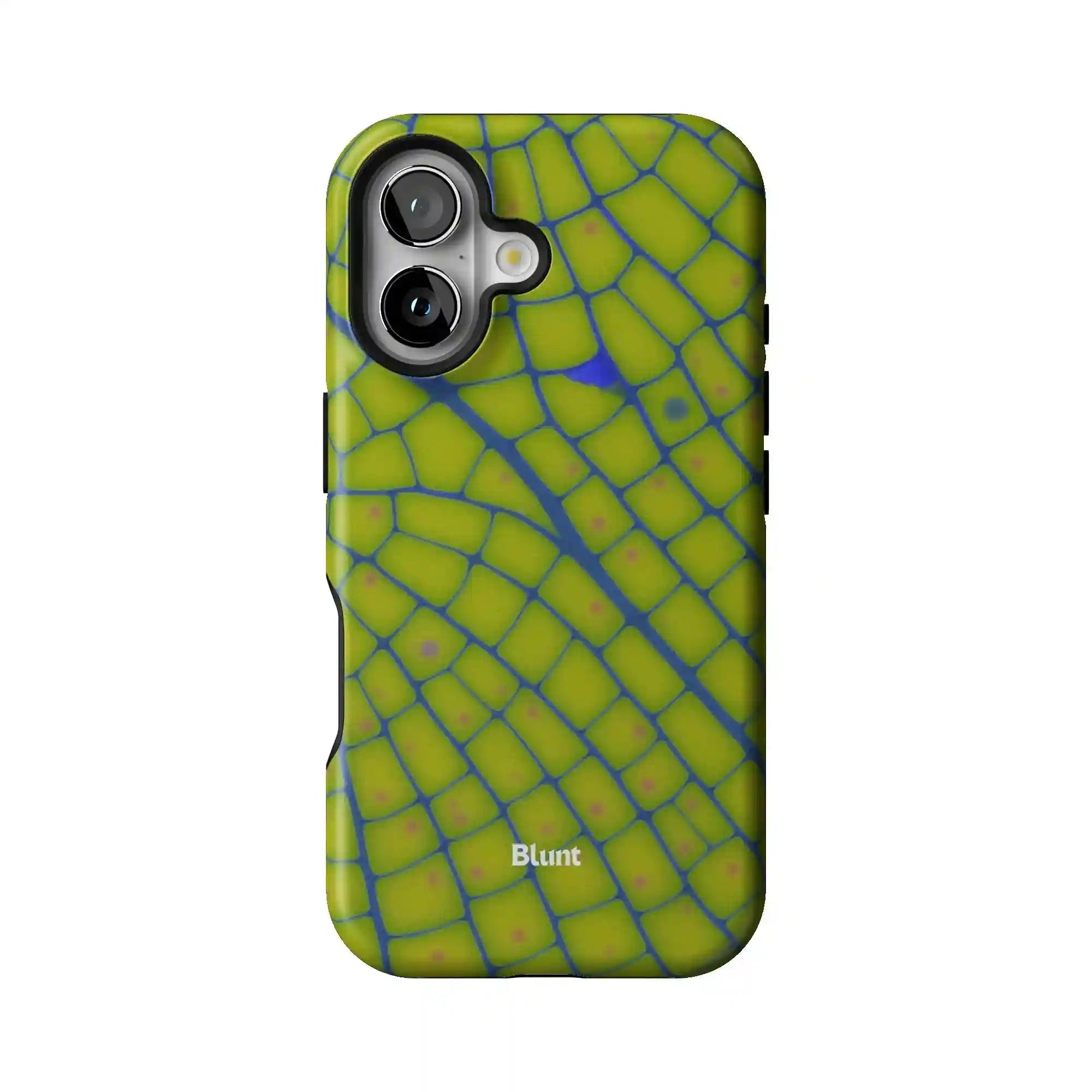 bluntcasesonline.com