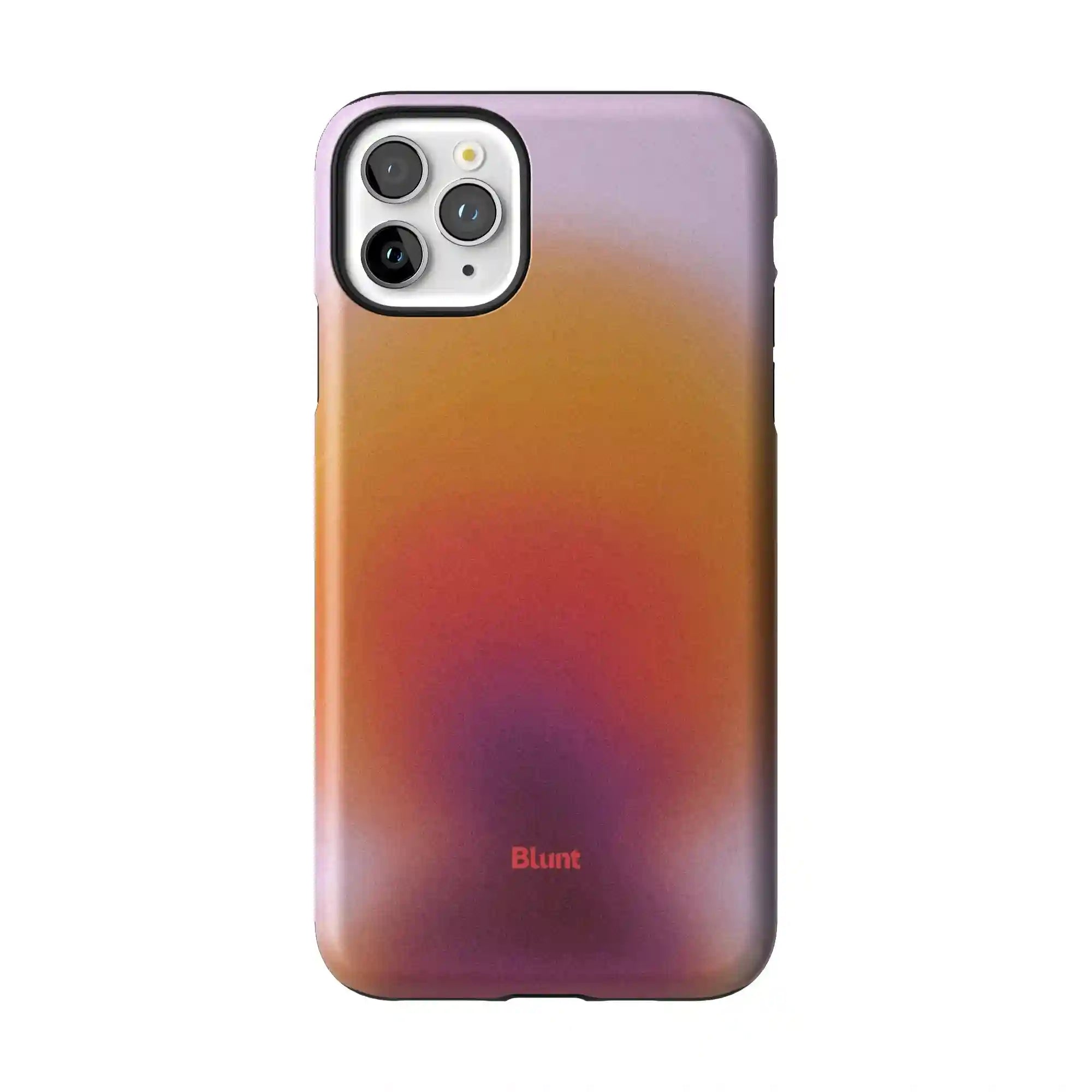 bluntcasesonline.com