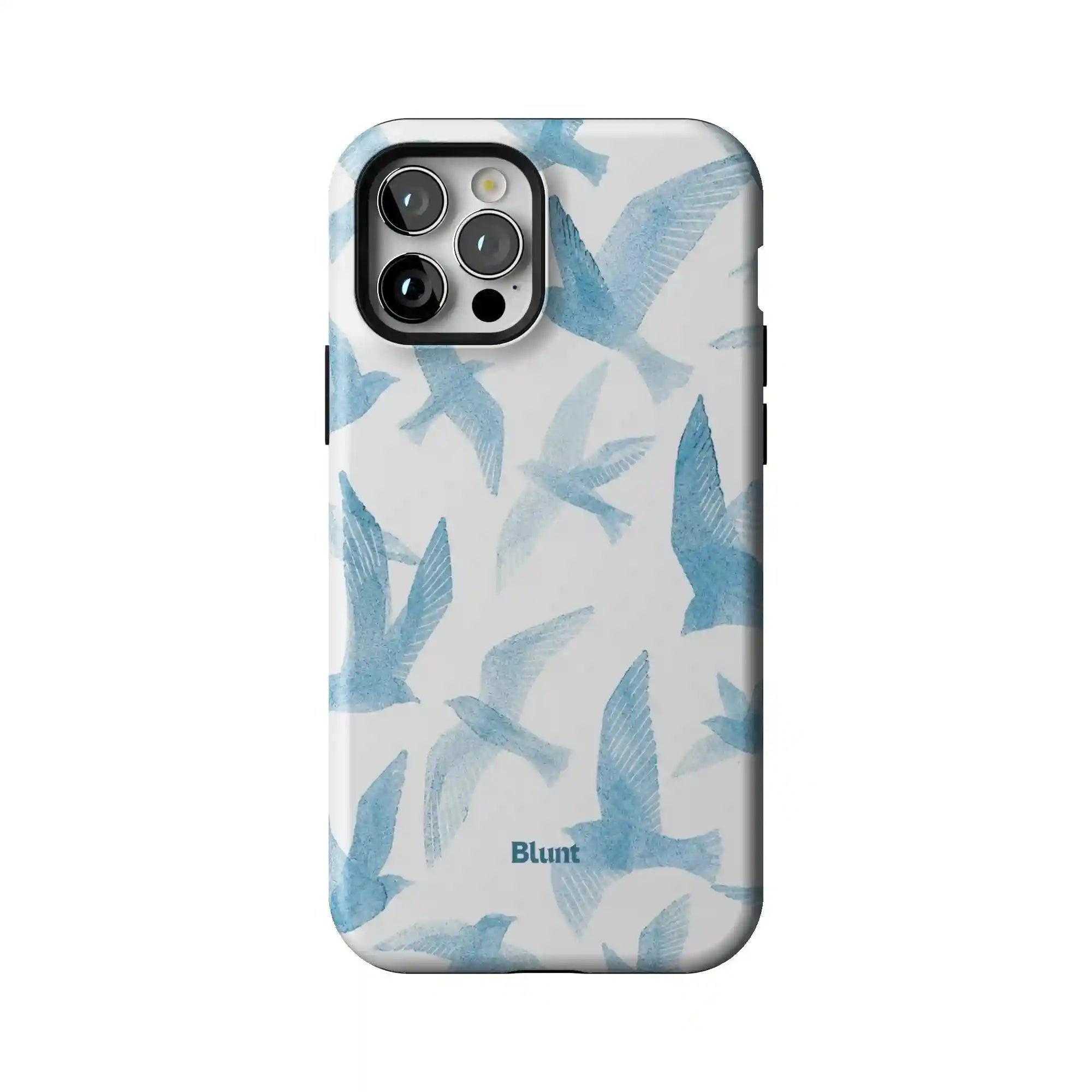 bluntcasesonline.com
