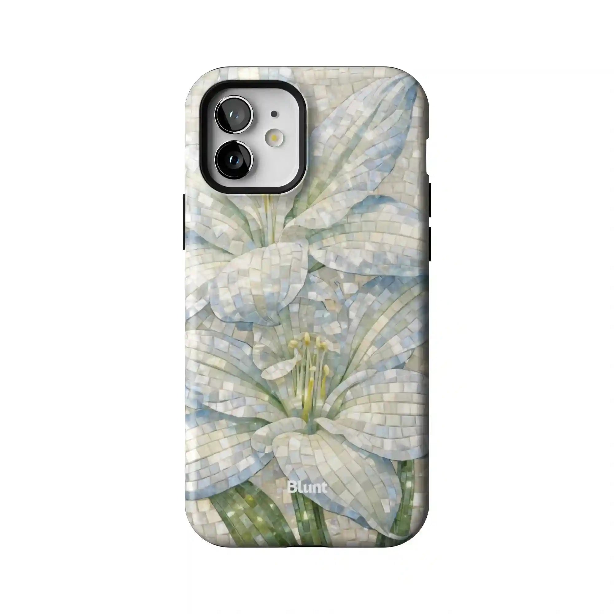bluntcasesonline.com