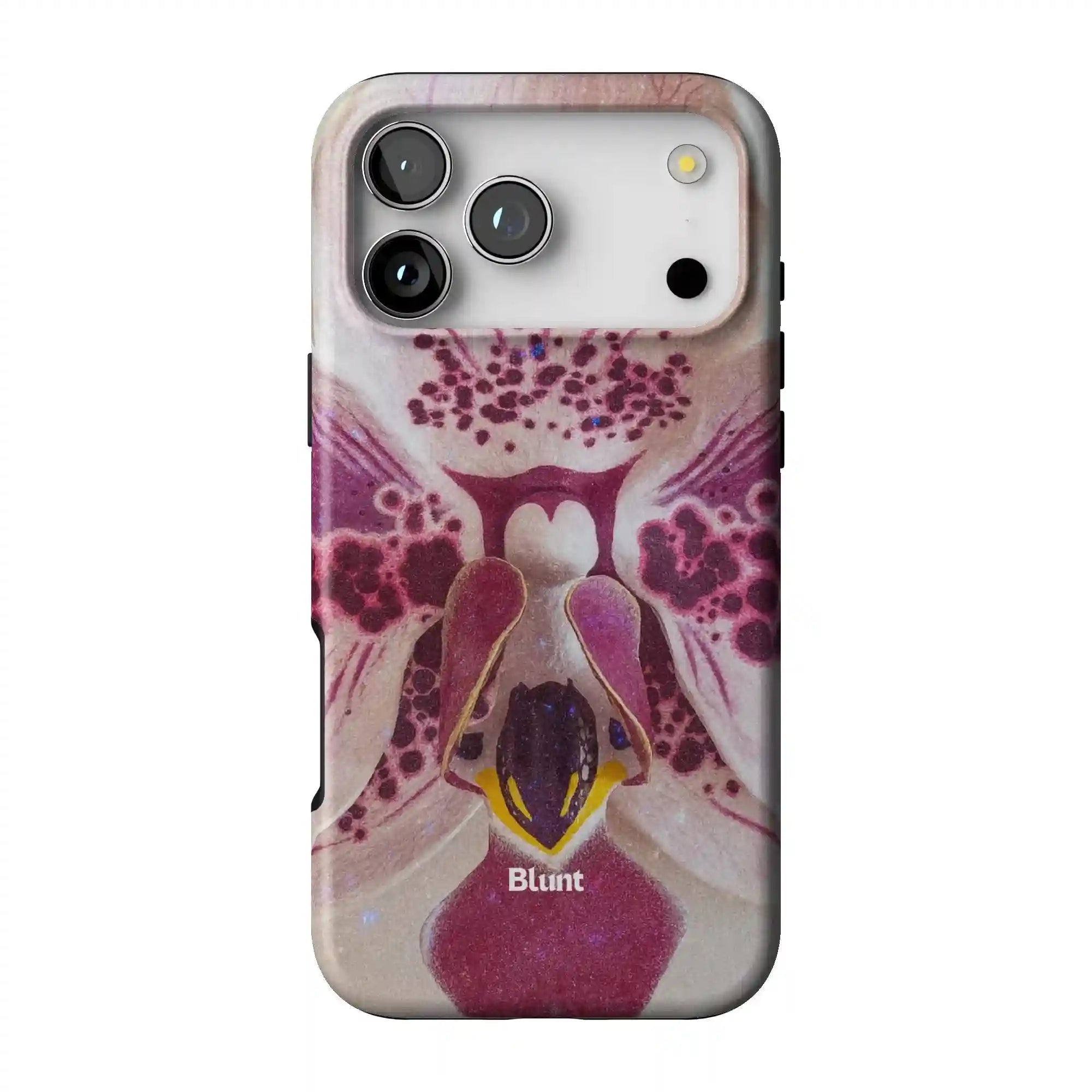 bluntcasesonline.com
