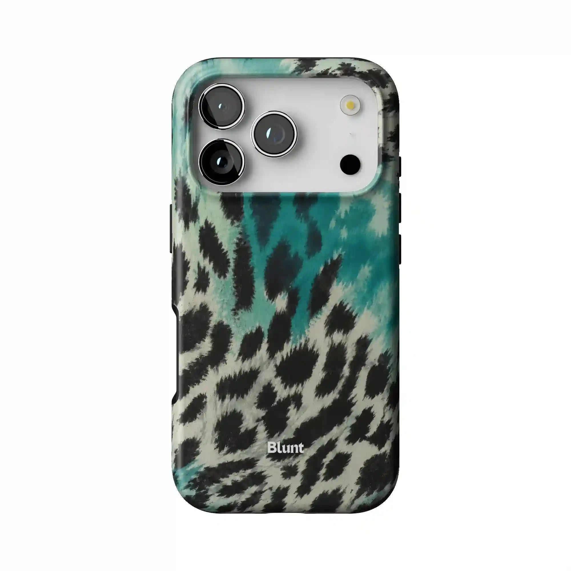 bluntcasesonline.com