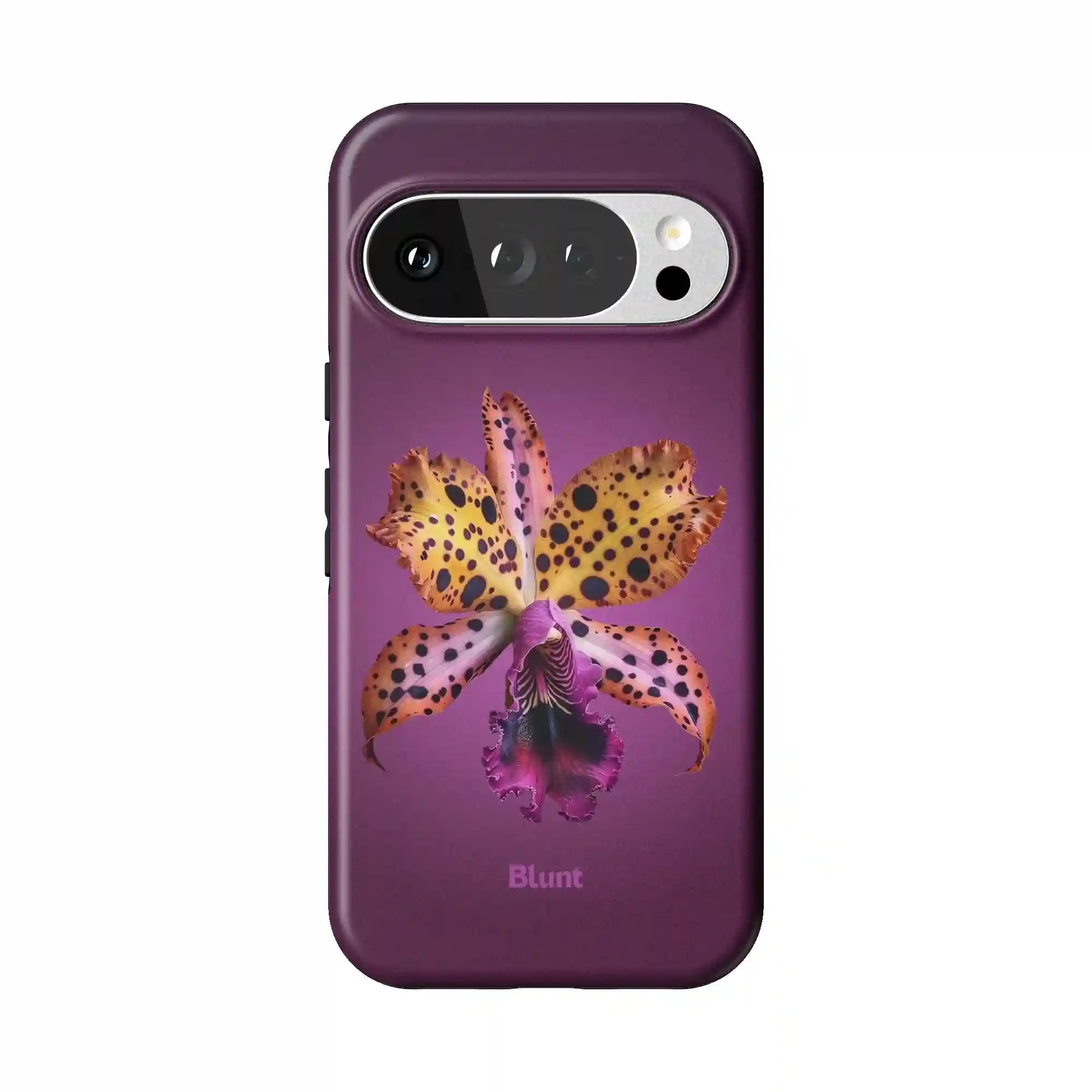 bluntcasesonline.com