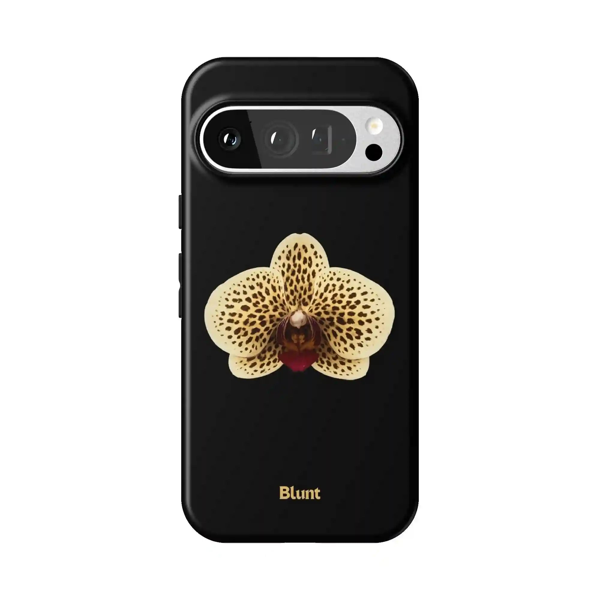 bluntcasesonline.com