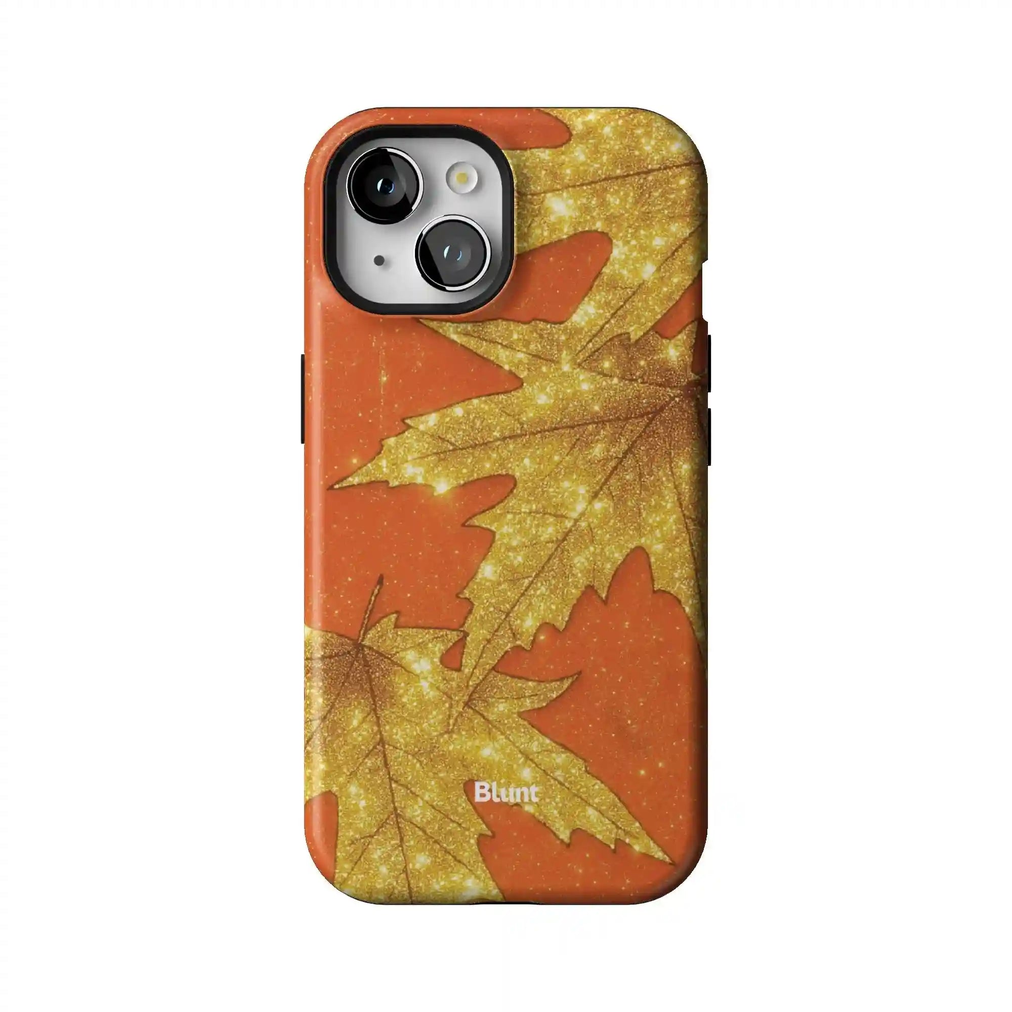 bluntcasesonline.com