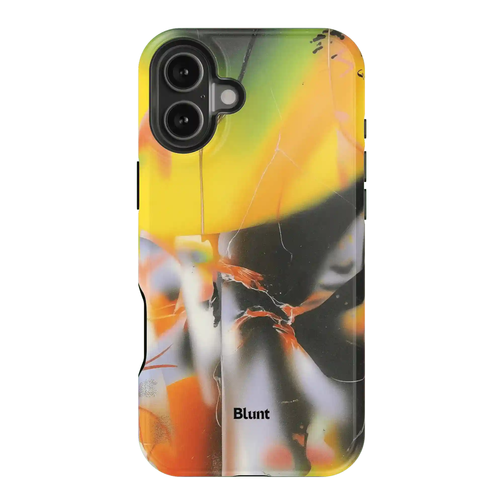 bluntcasesonline.com