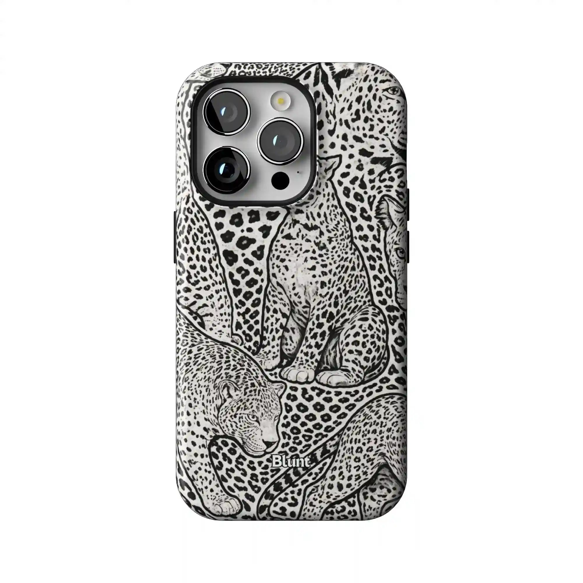 bluntcasesonline.com