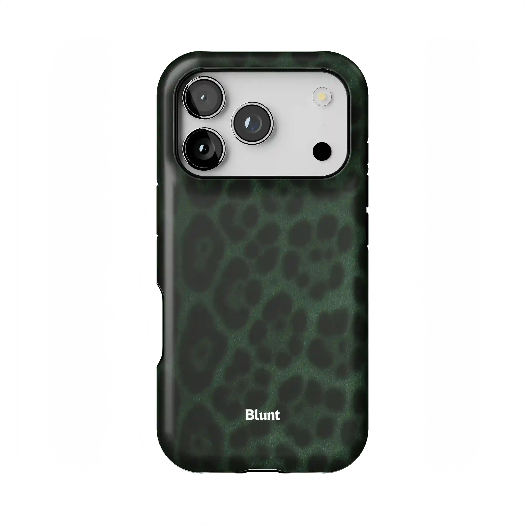 bluntcasesonline.com