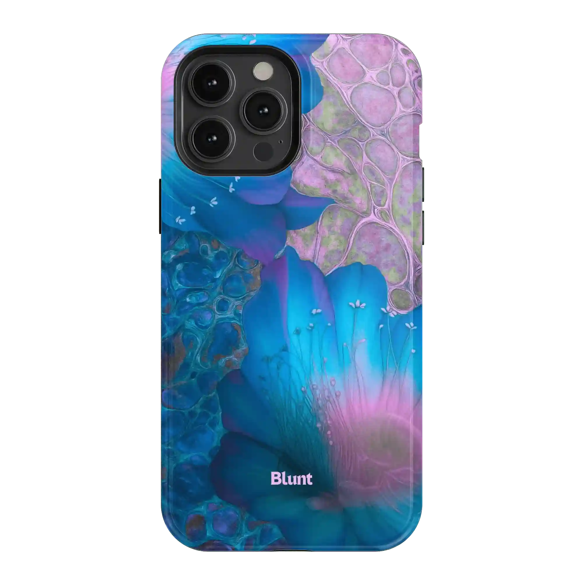 bluntcasesonline.com