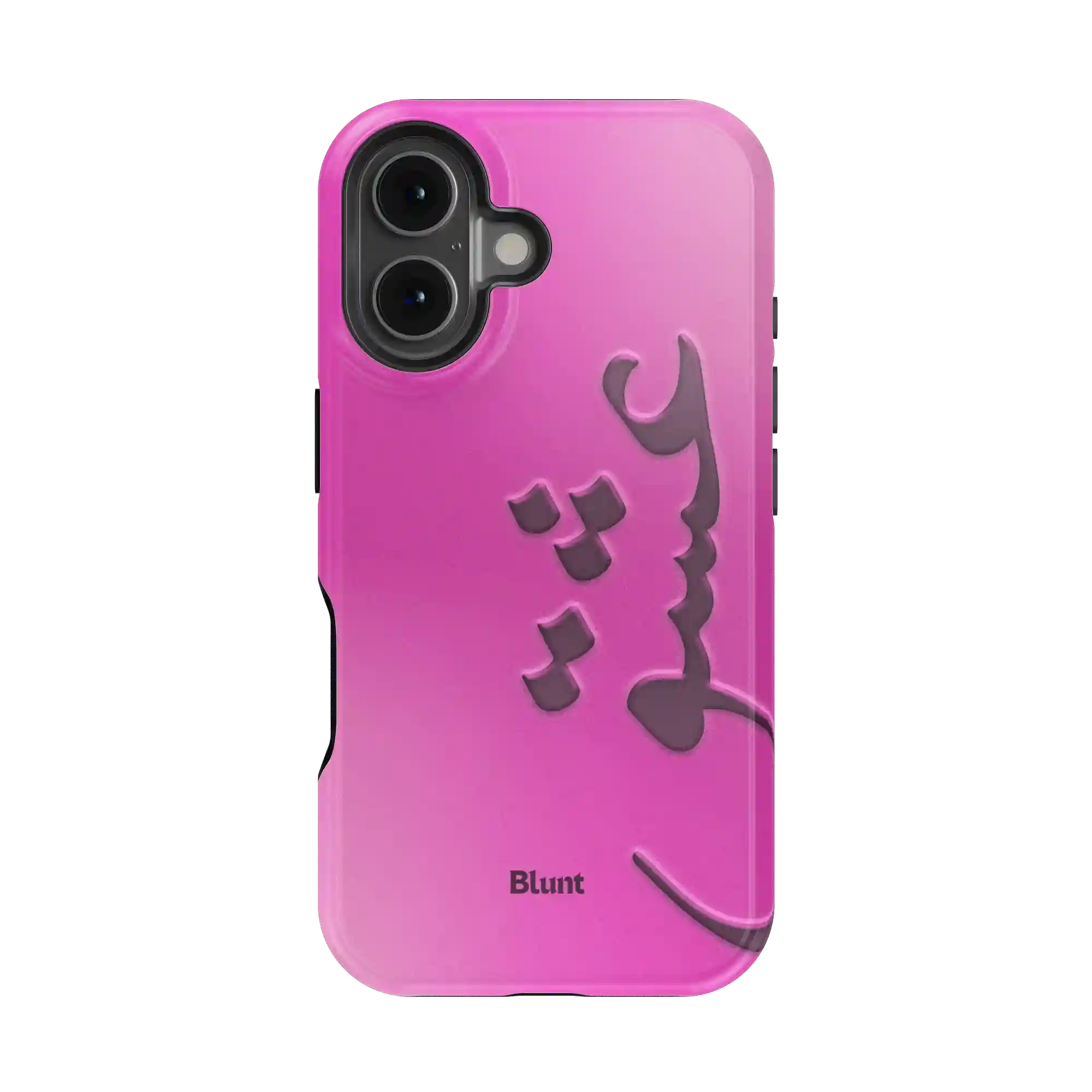 bluntcasesonline.com