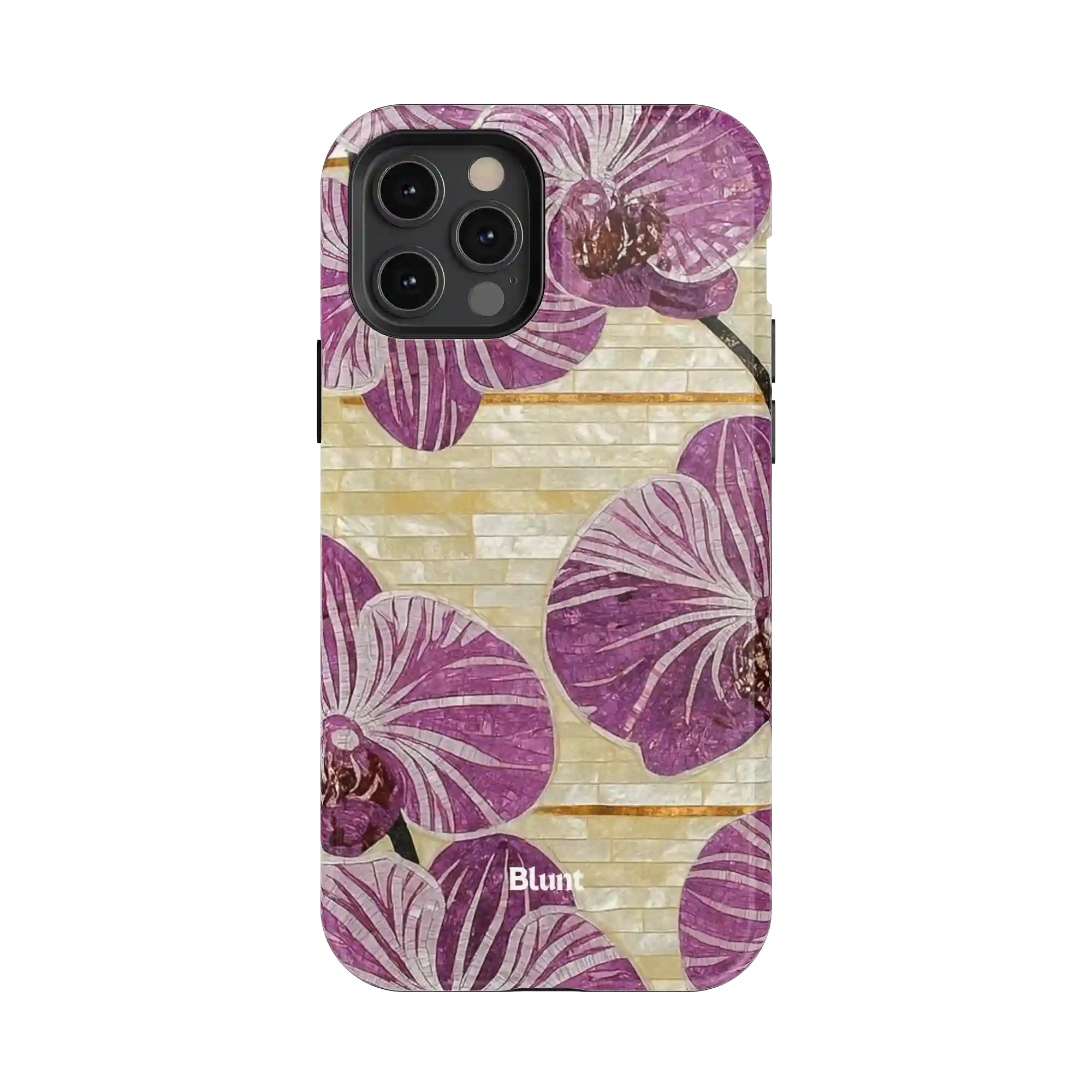 bluntcasesonline.com