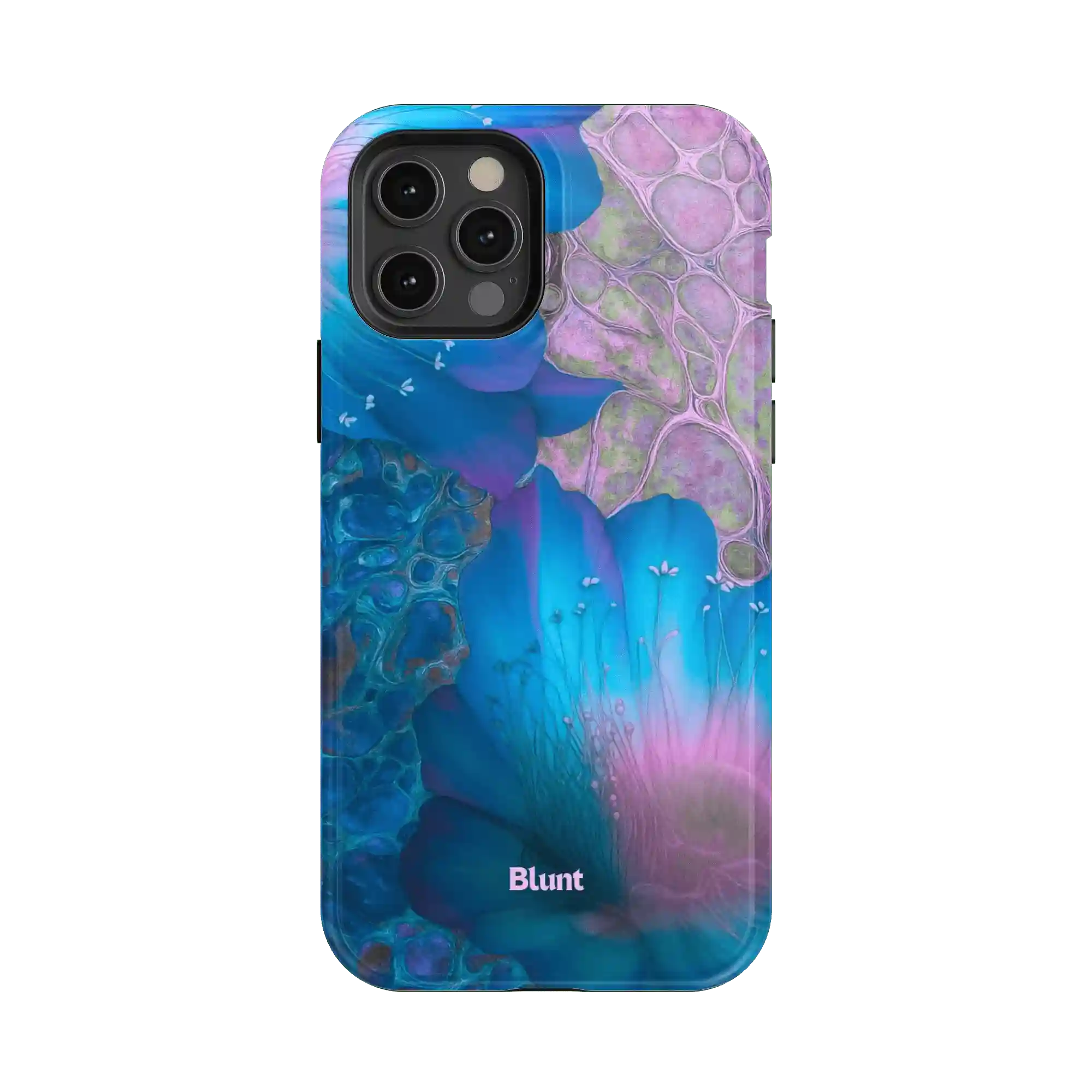 bluntcasesonline.com