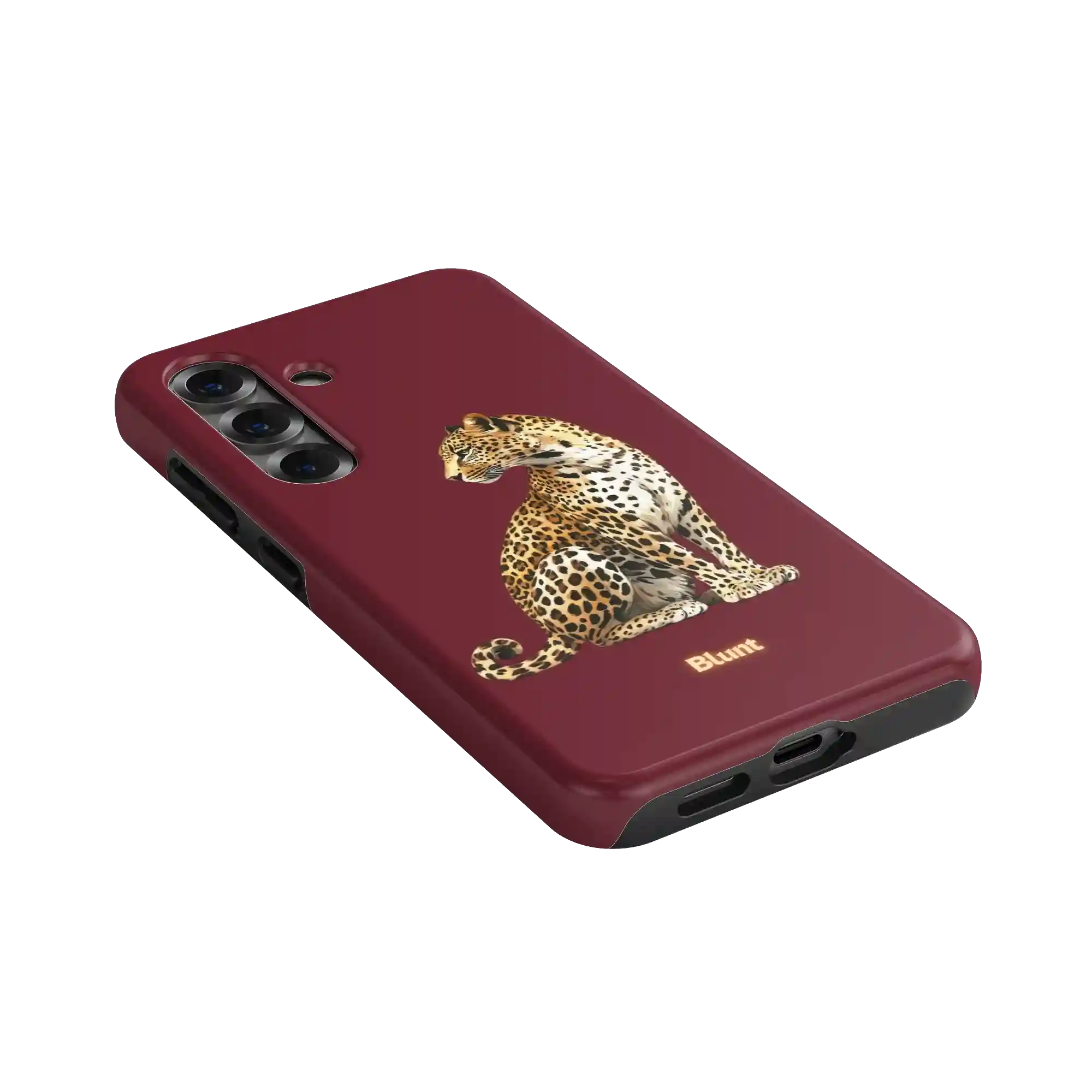 bluntcasesonline.com