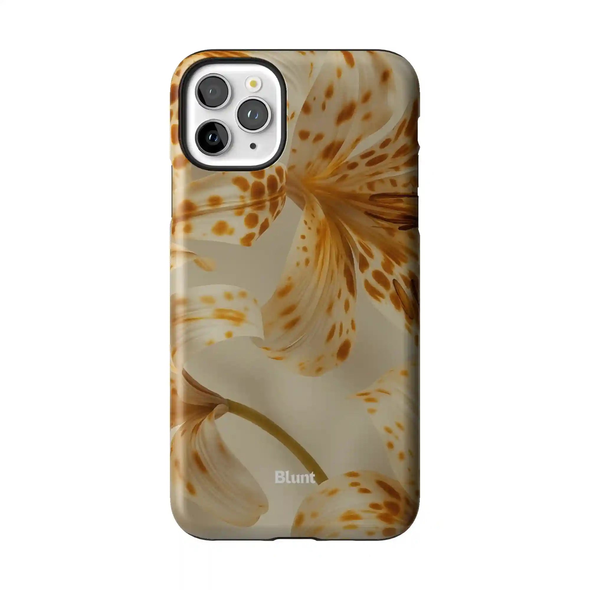 bluntcasesonline.com