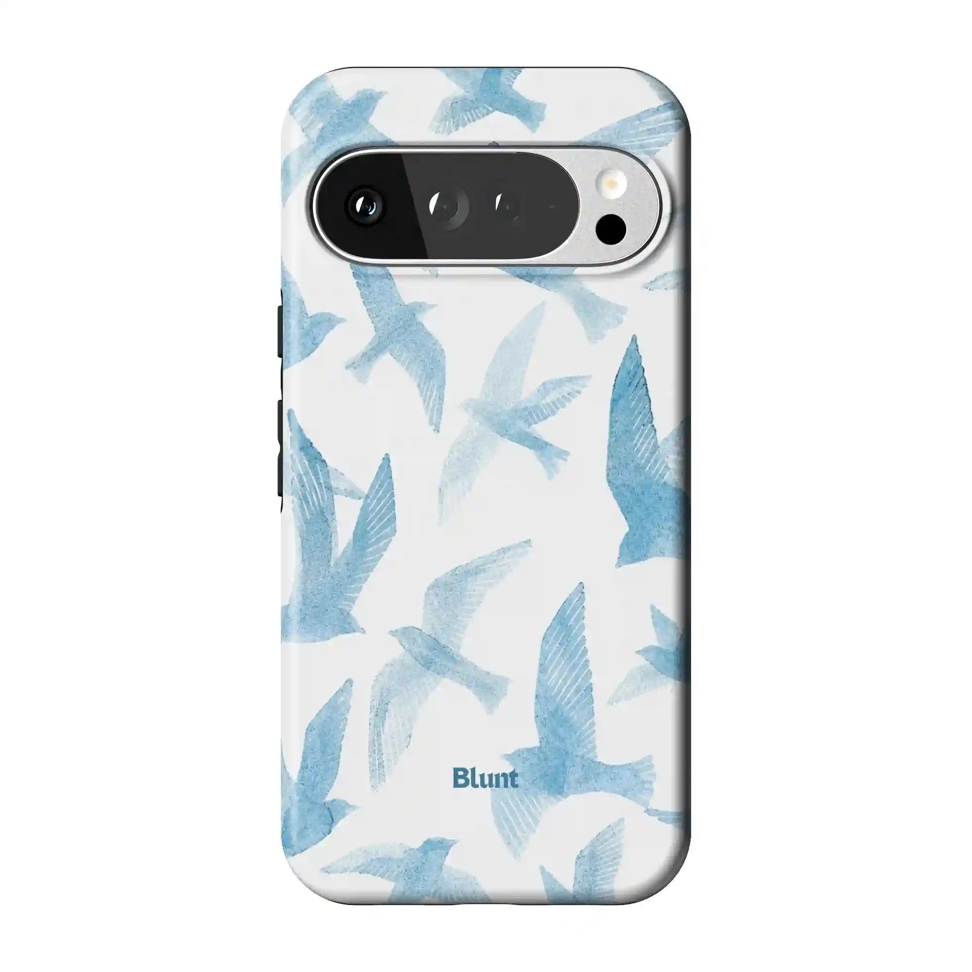bluntcasesonline.com