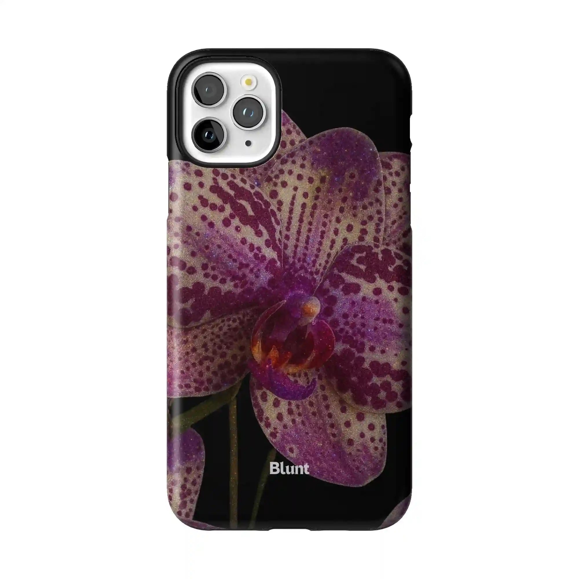 bluntcasesonline.com