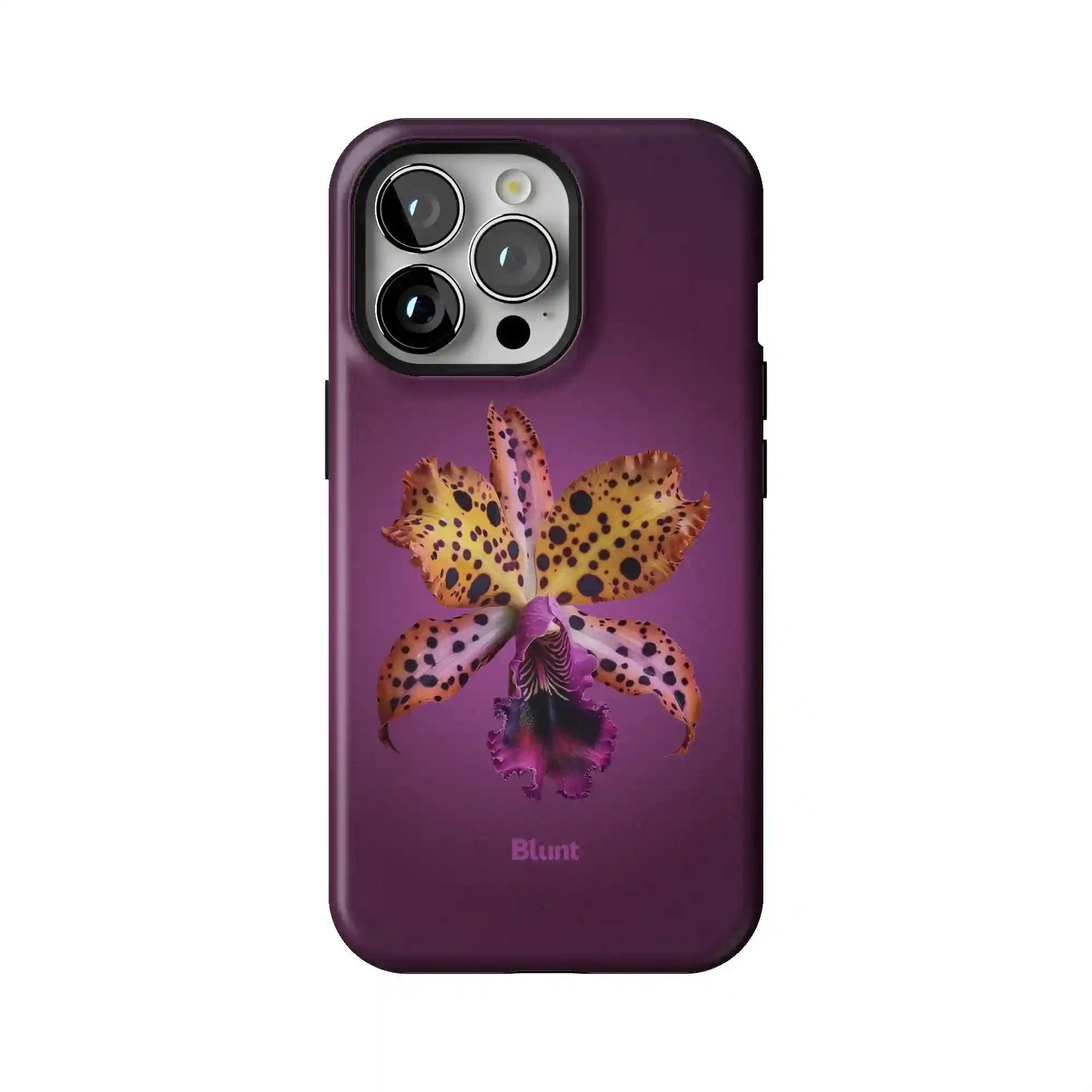 bluntcasesonline.com