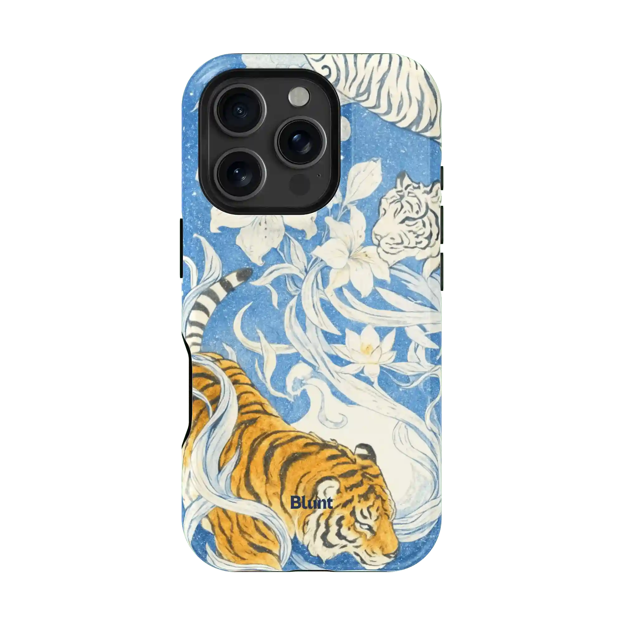 bluntcasesonline.com