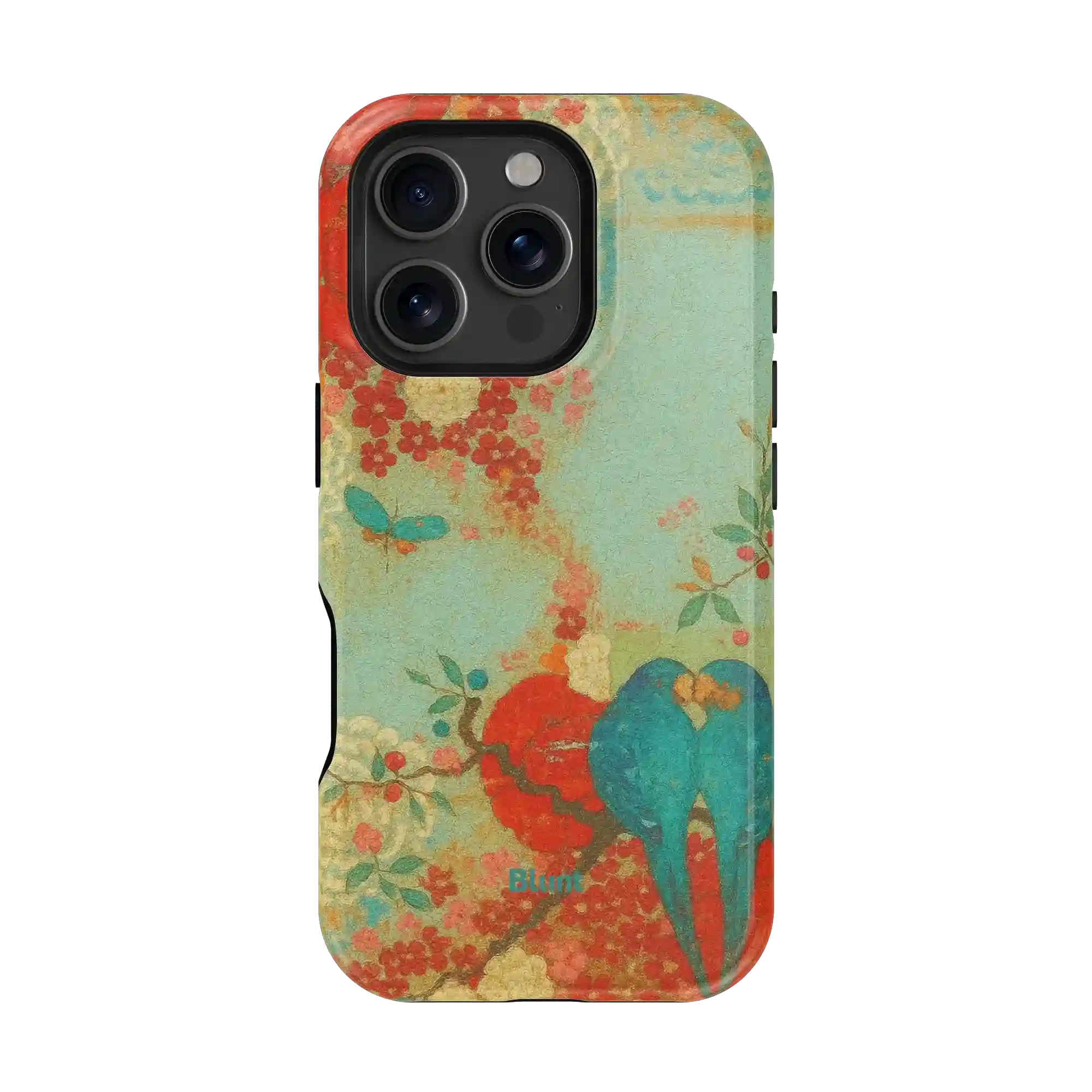 bluntcasesonline.com