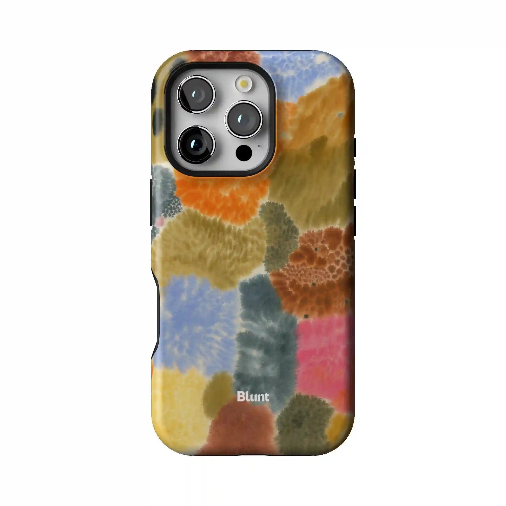 bluntcasesonline.com