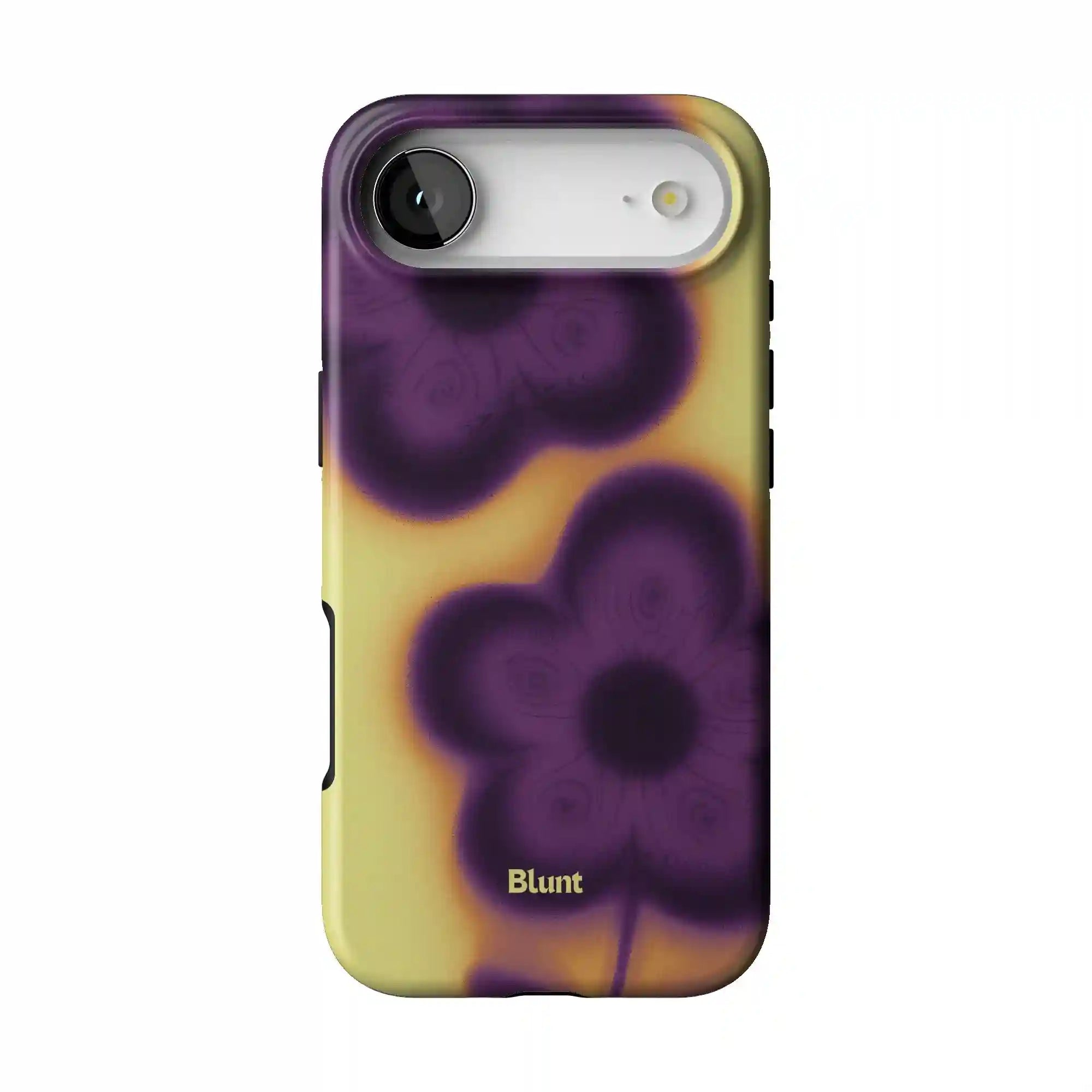 bluntcasesonline.com