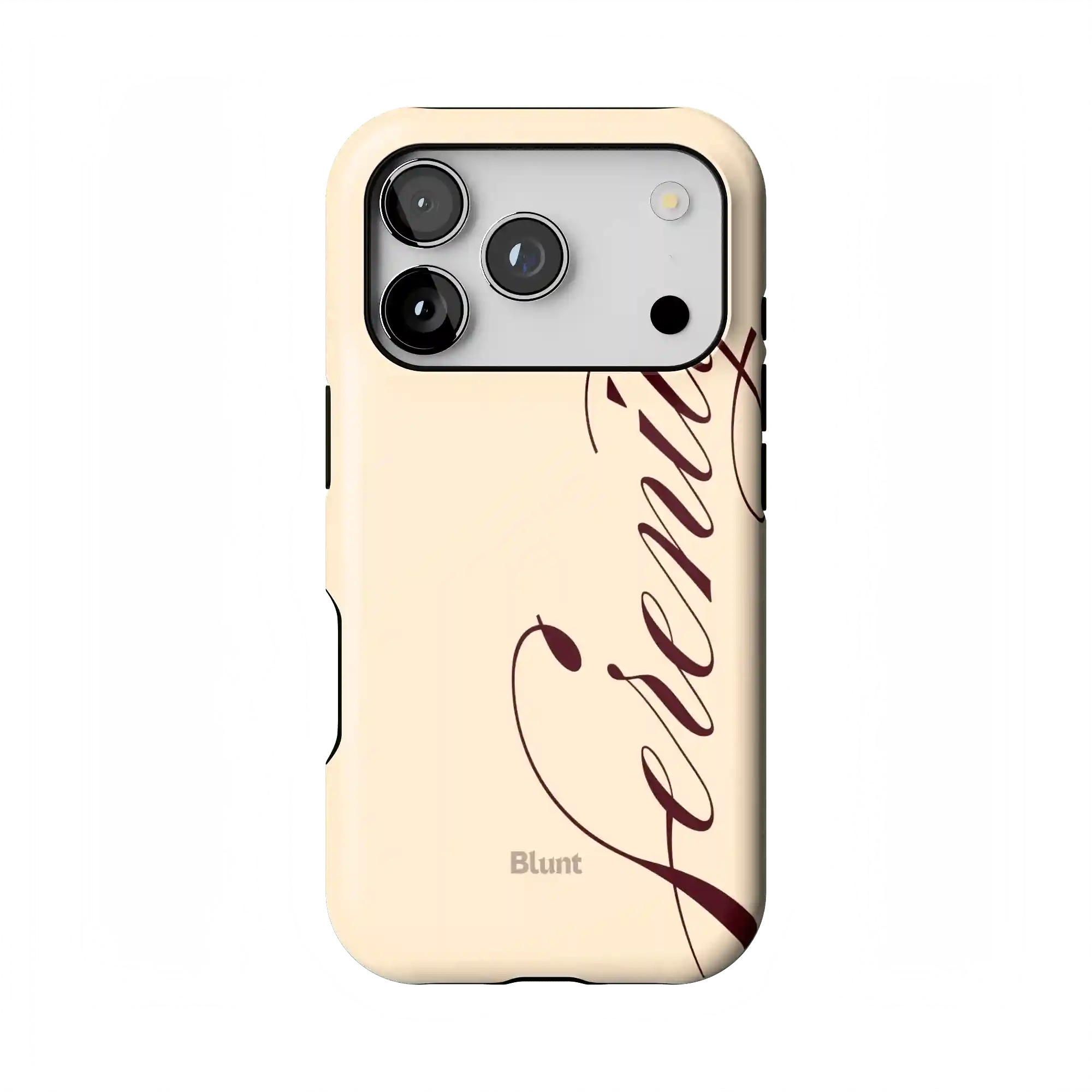 bluntcasesonline.com