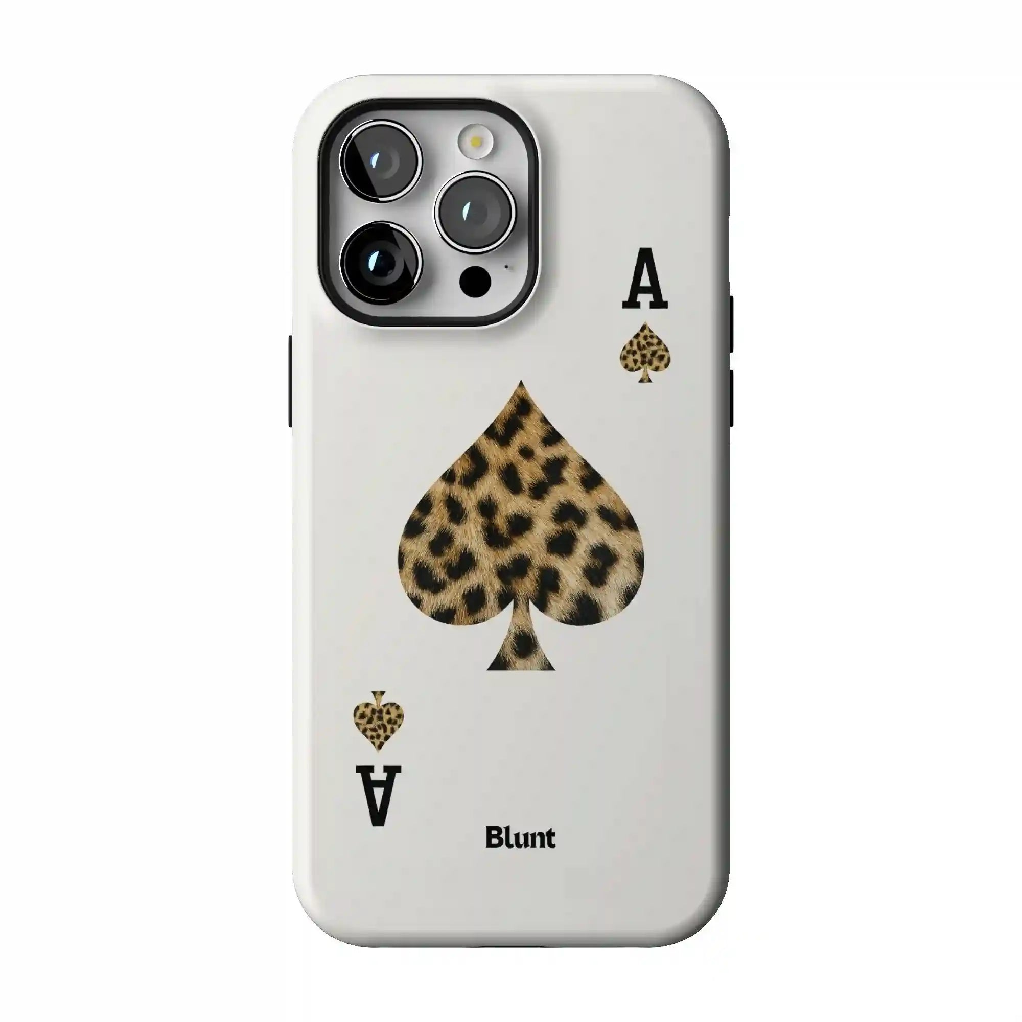bluntcasesonline.com