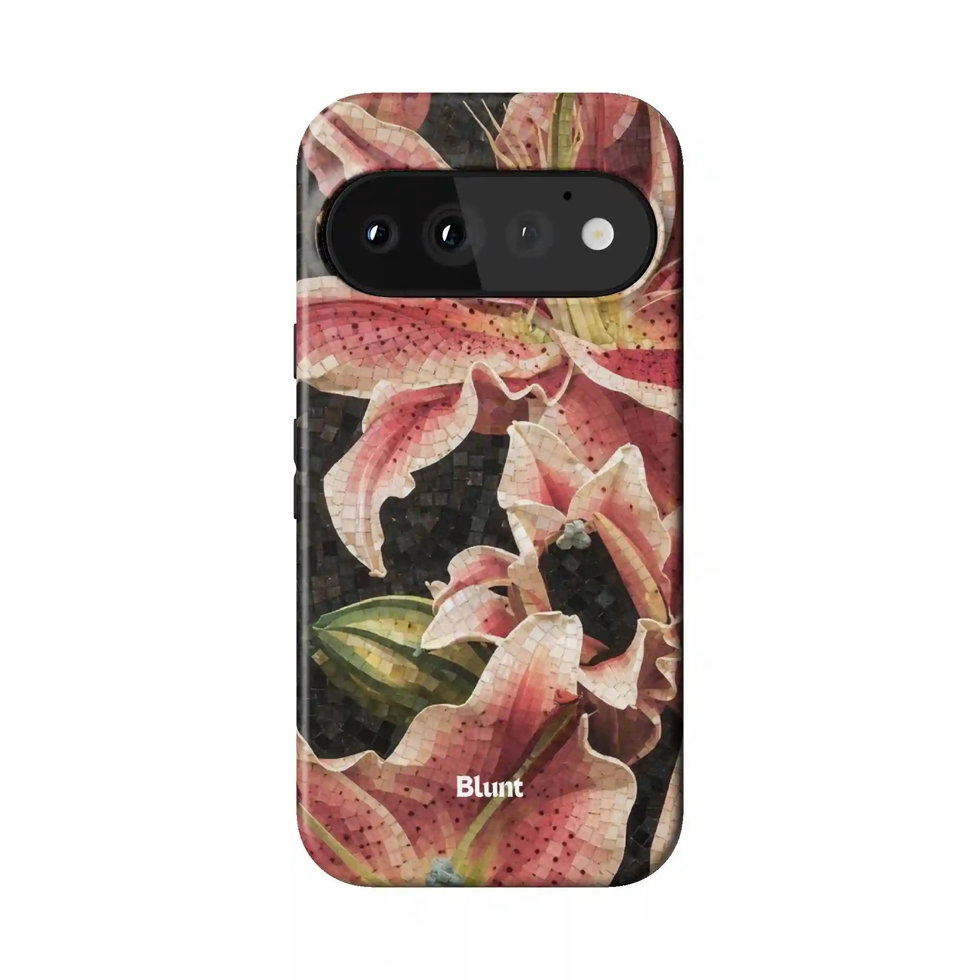 bluntcasesonline.com