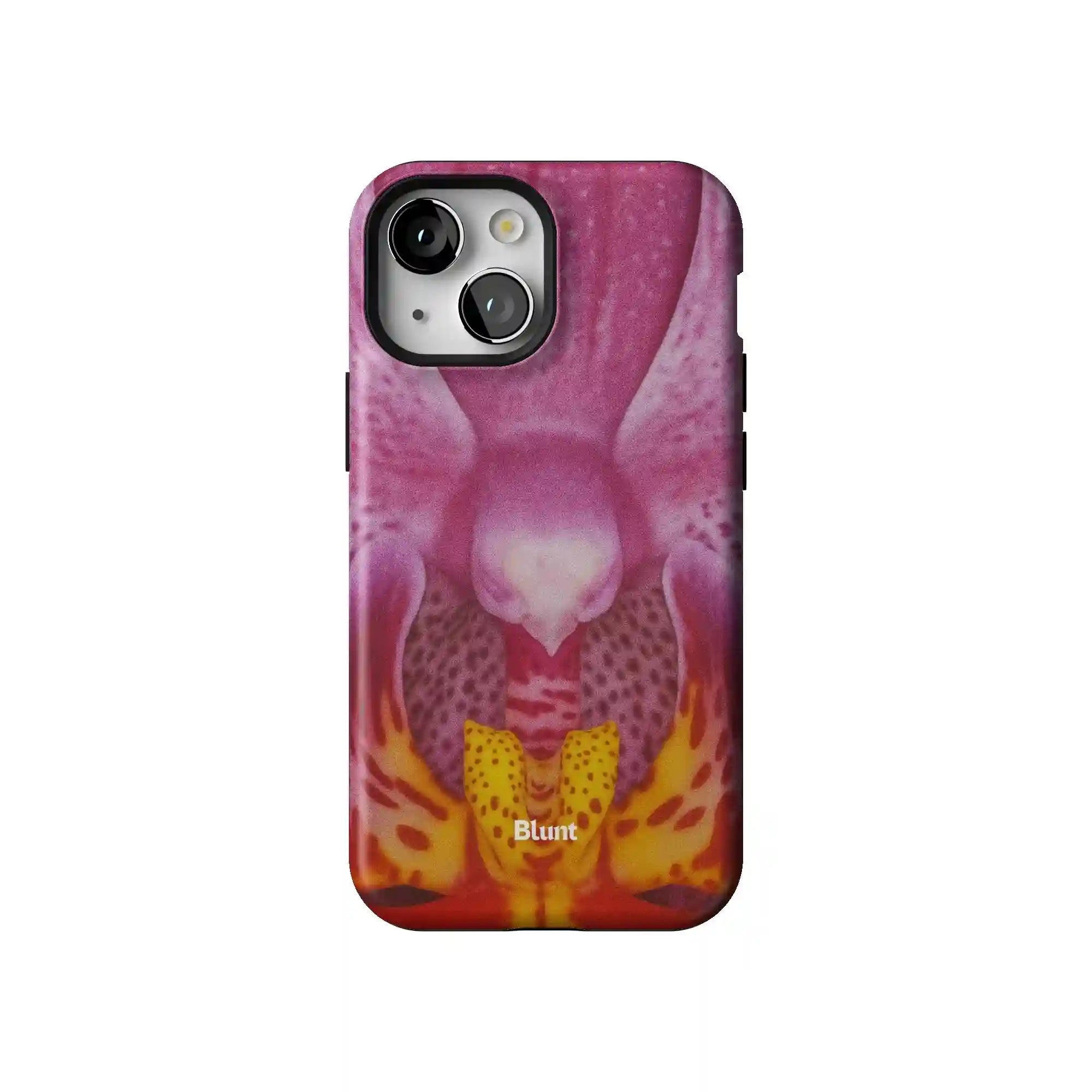 bluntcasesonline.com