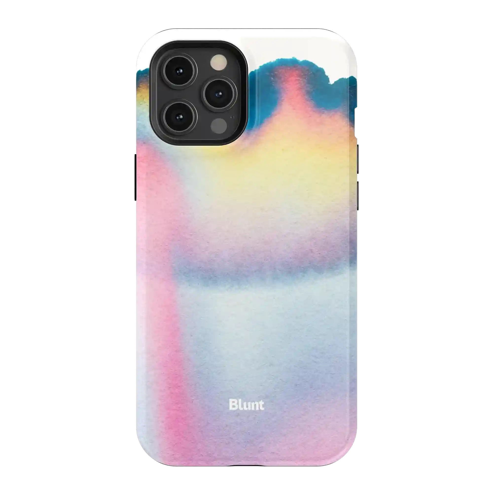 bluntcasesonline.com