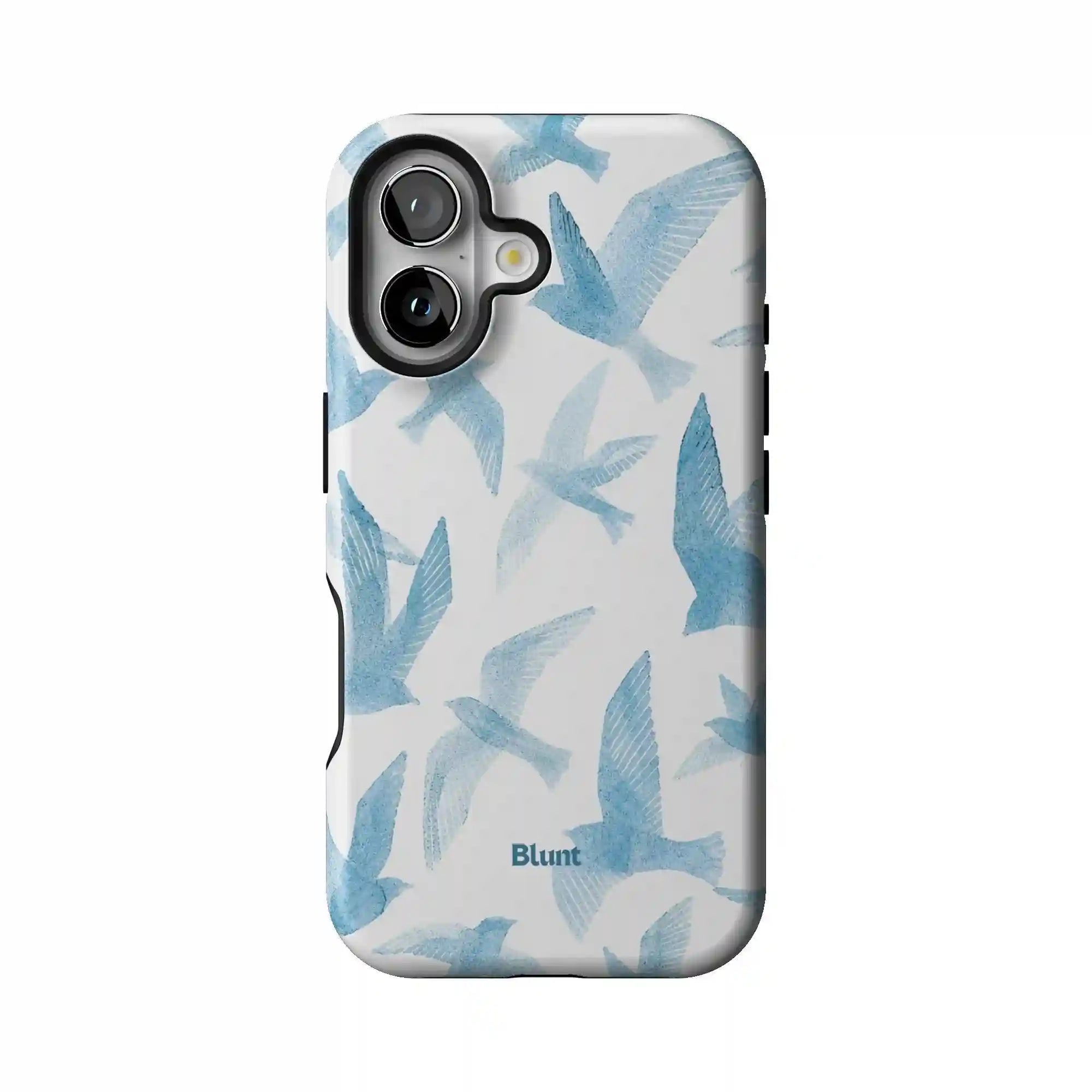 bluntcasesonline.com