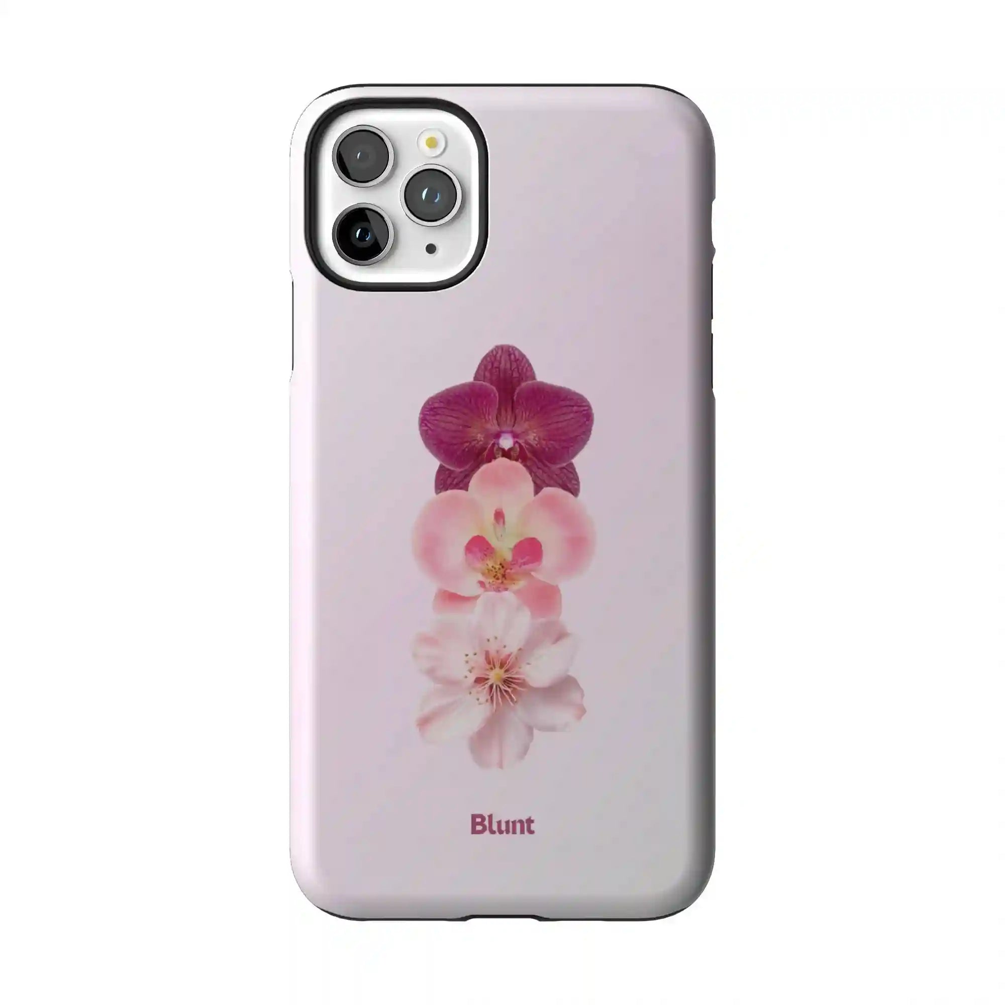 bluntcasesonline.com