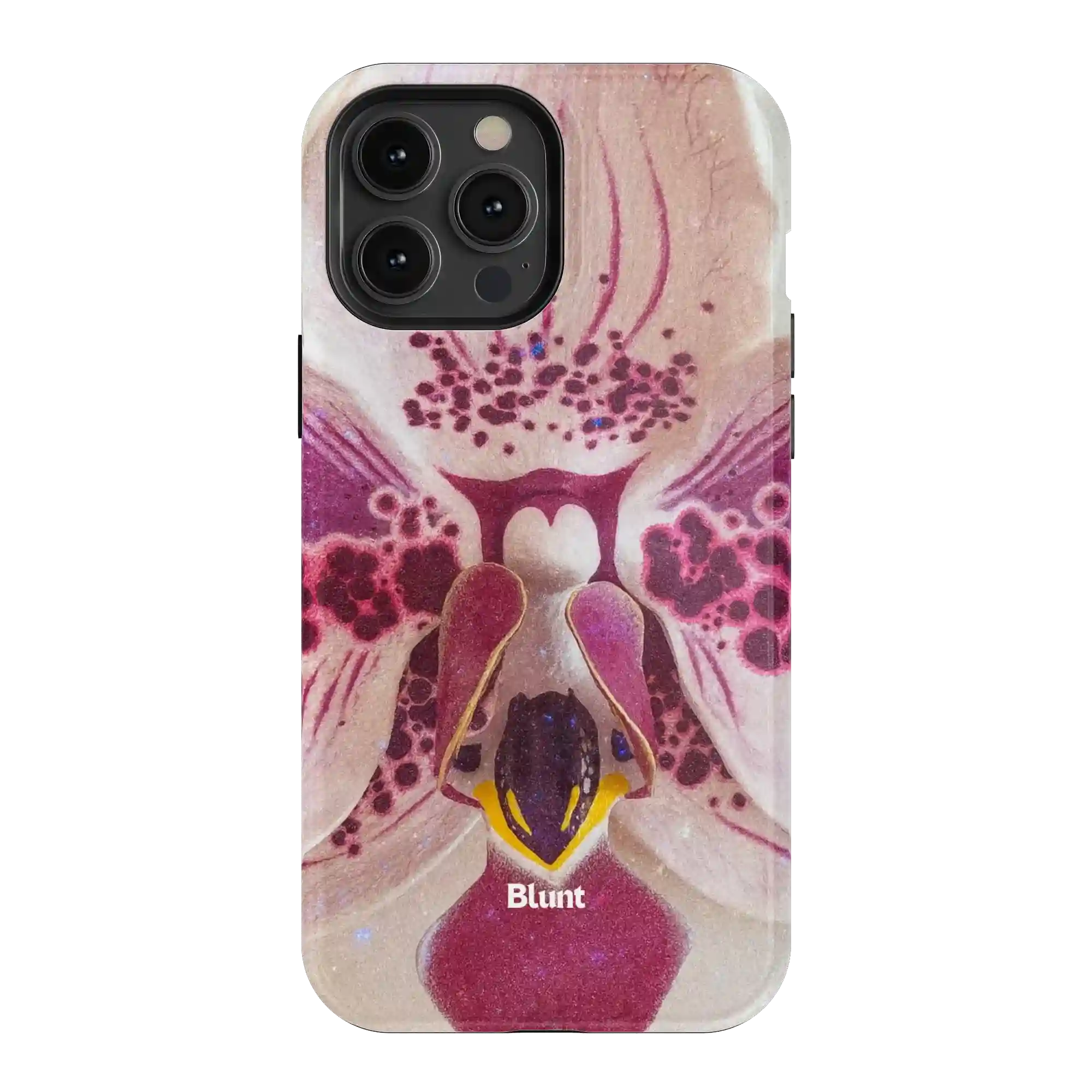 bluntcasesonline.com