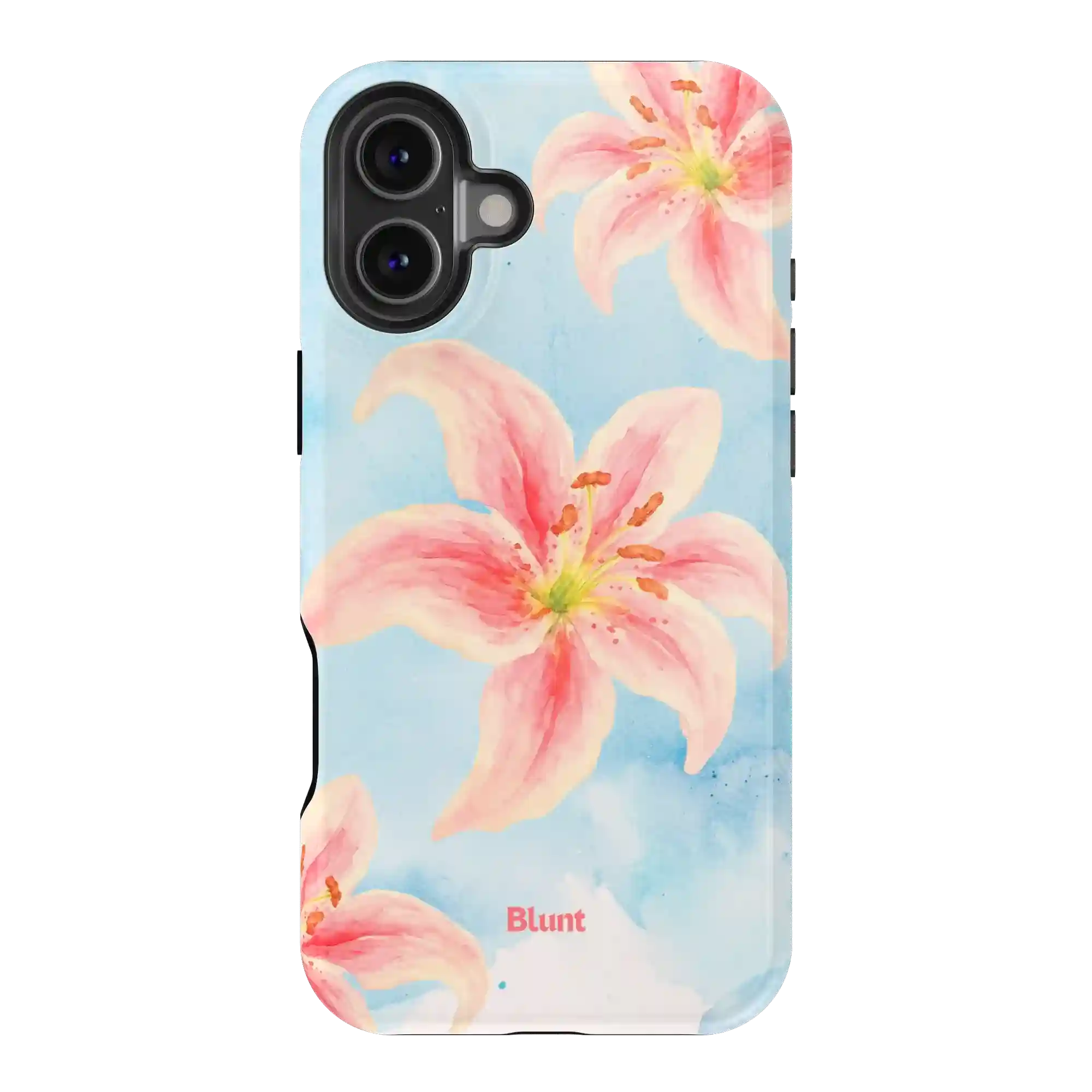bluntcasesonline.com