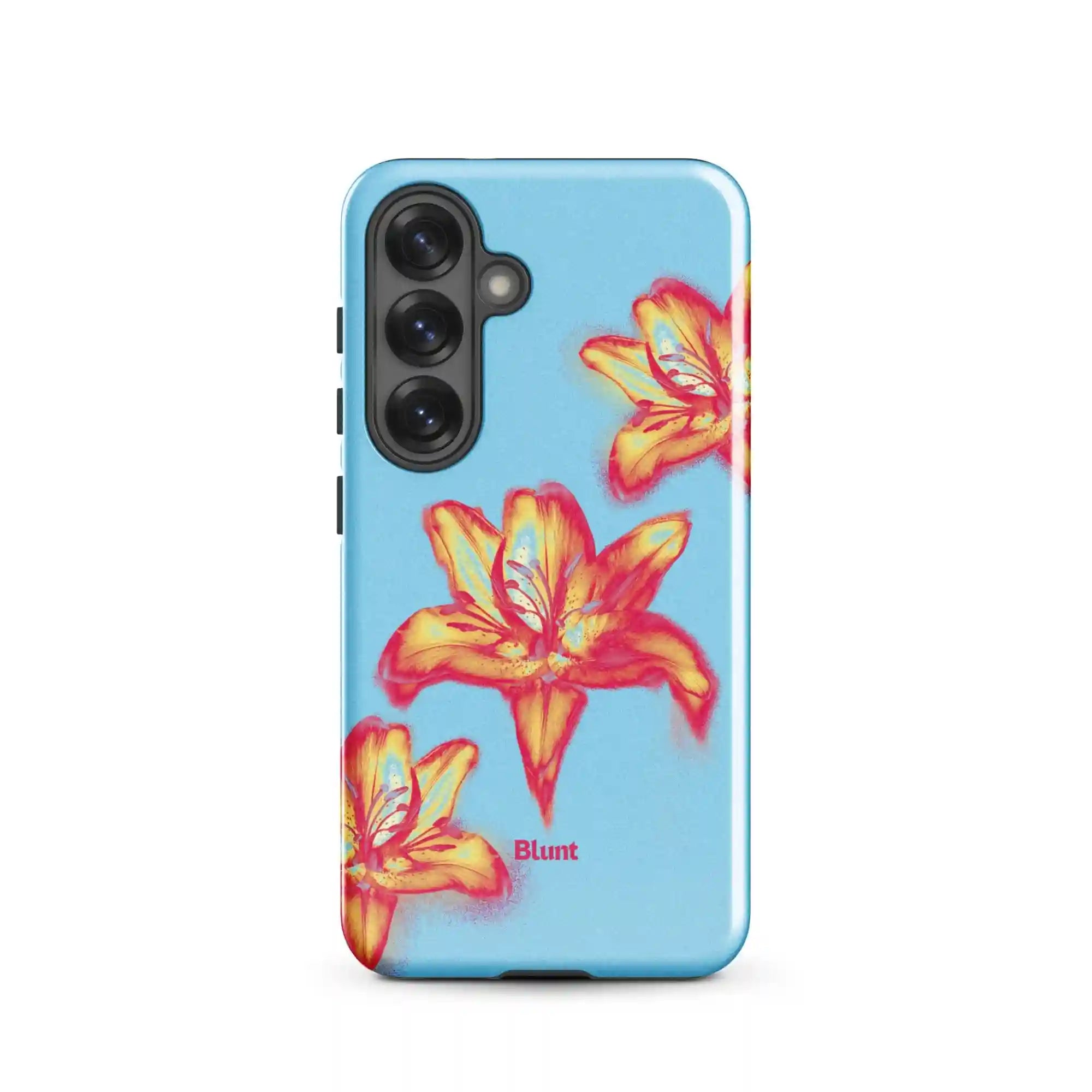 bluntcasesonline.com