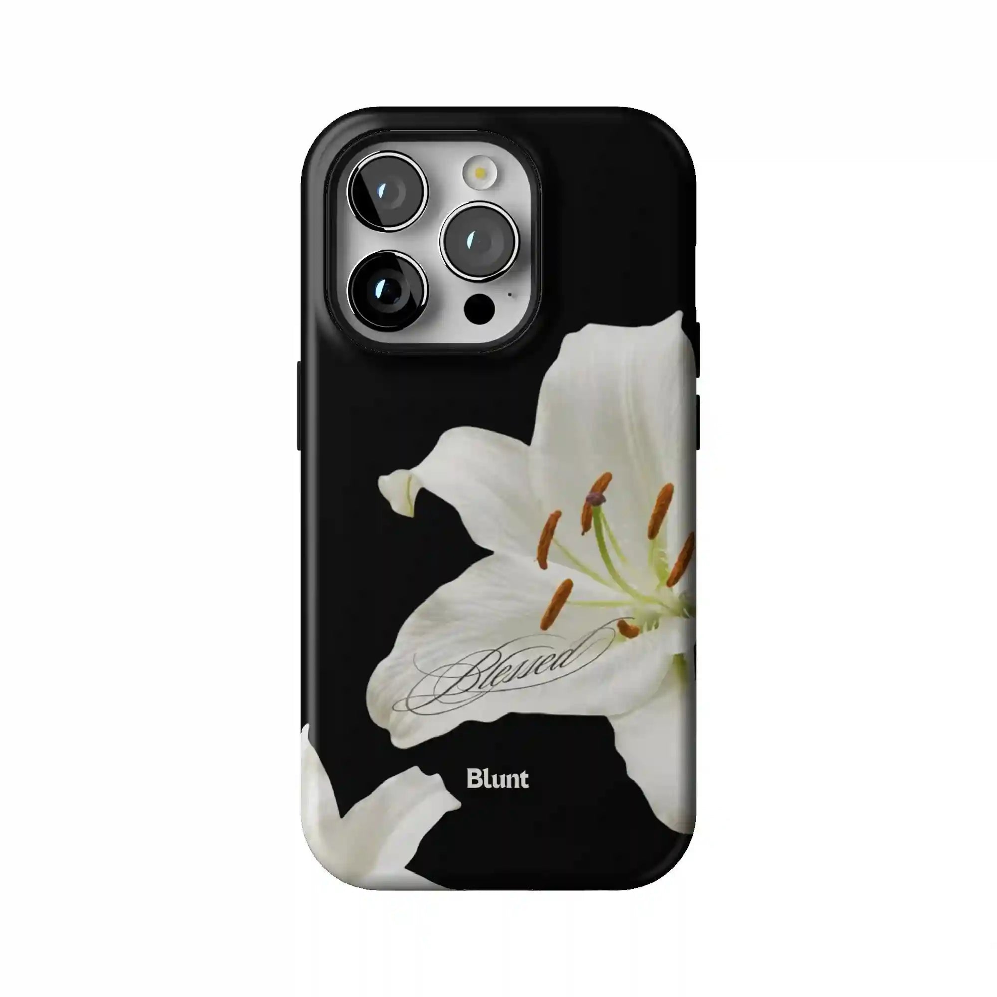 bluntcasesonline.com