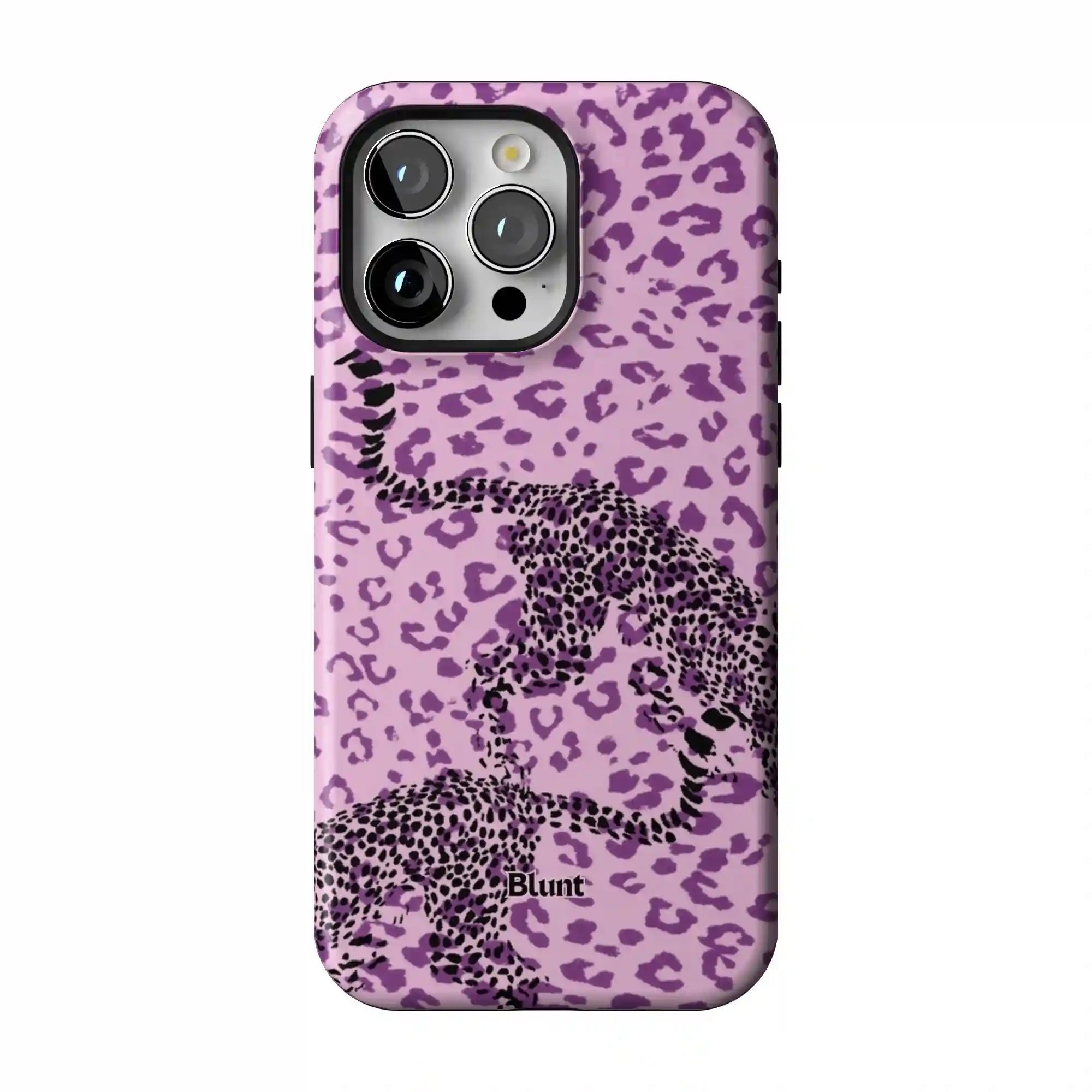 bluntcasesonline.com