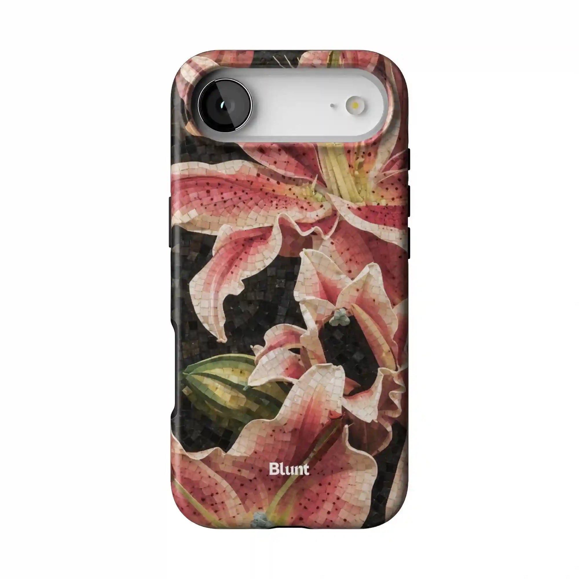 bluntcasesonline.com