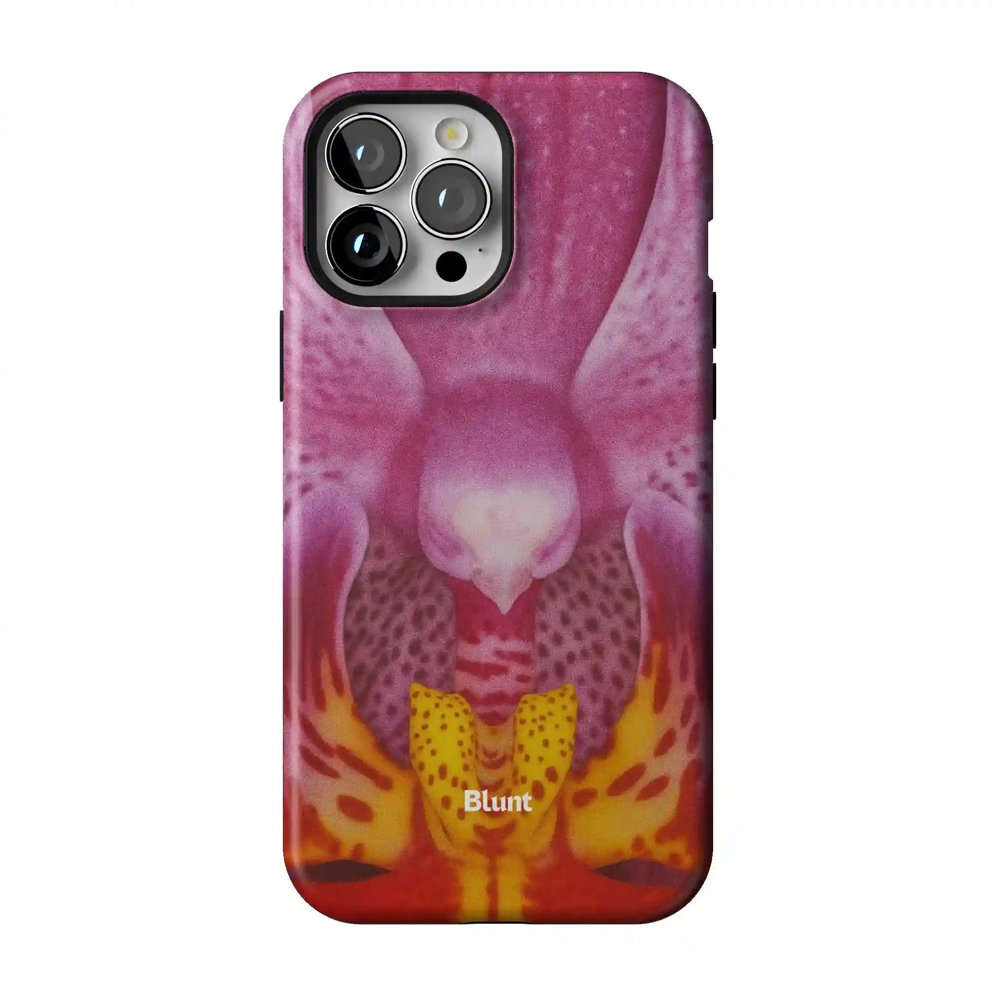 bluntcasesonline.com