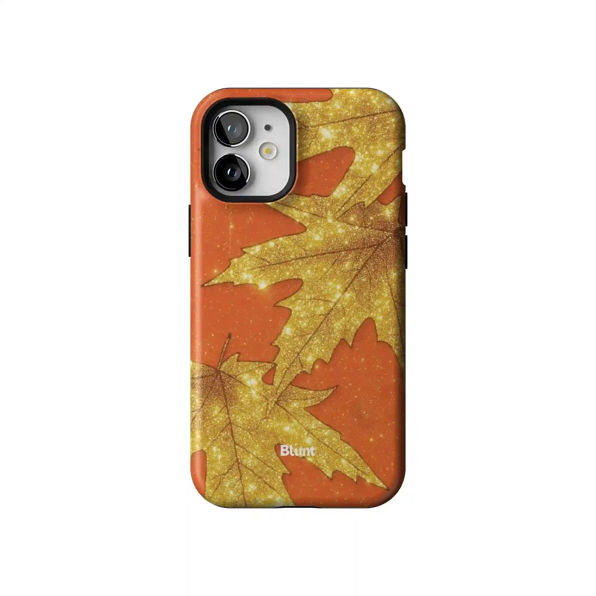 bluntcasesonline.com