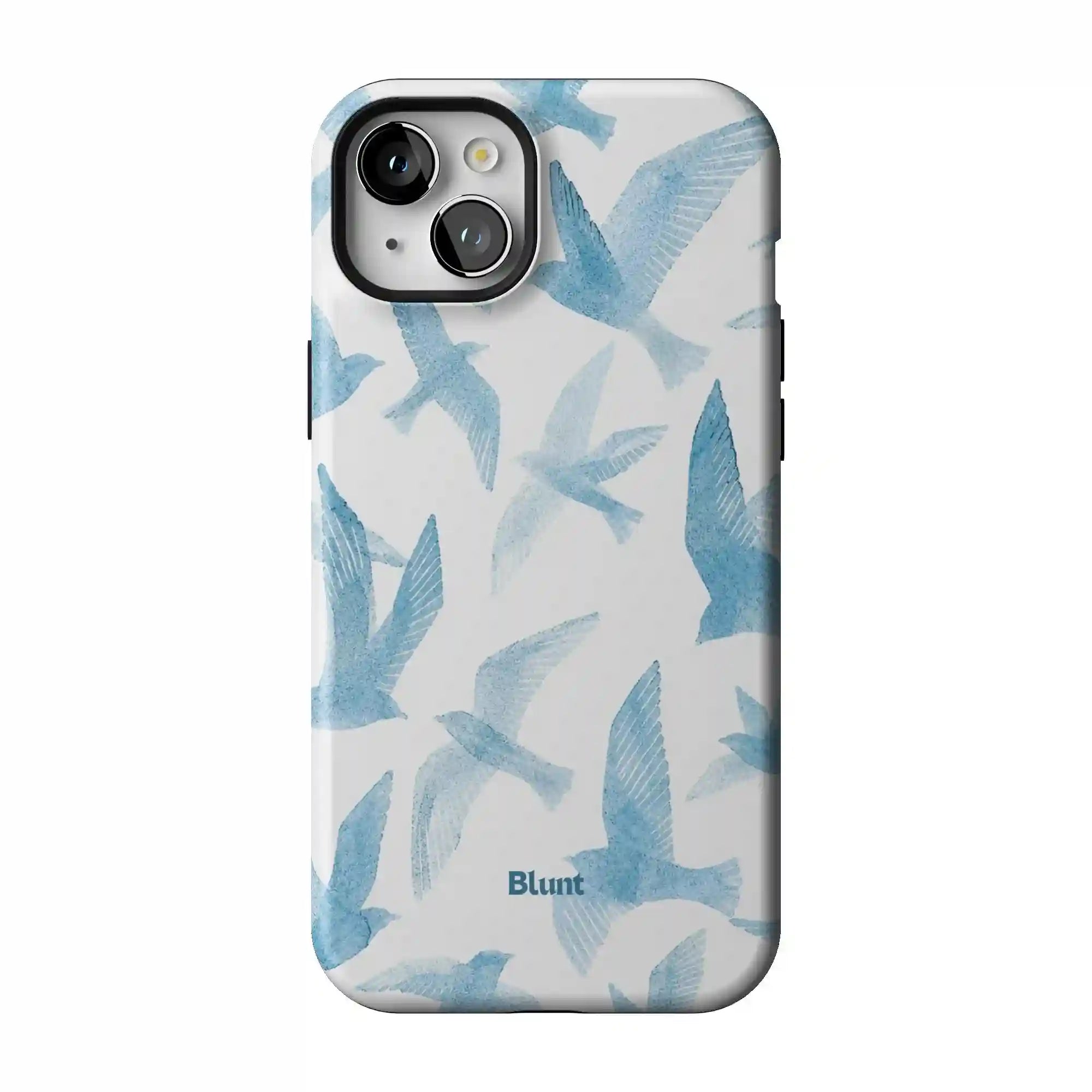 bluntcasesonline.com