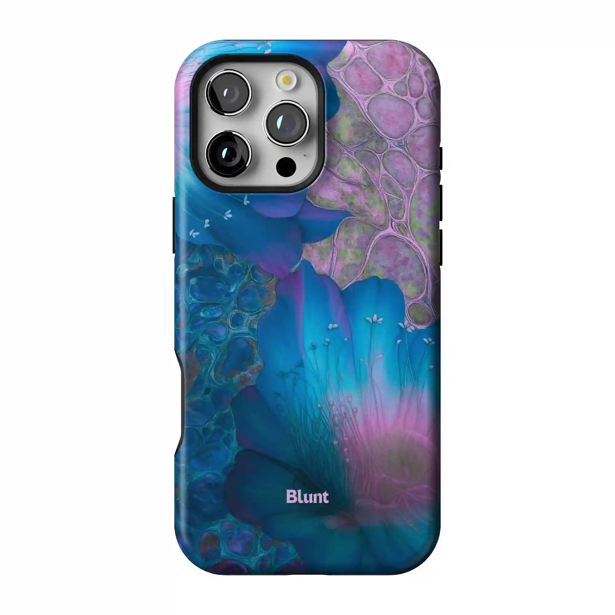 bluntcasesonline.com