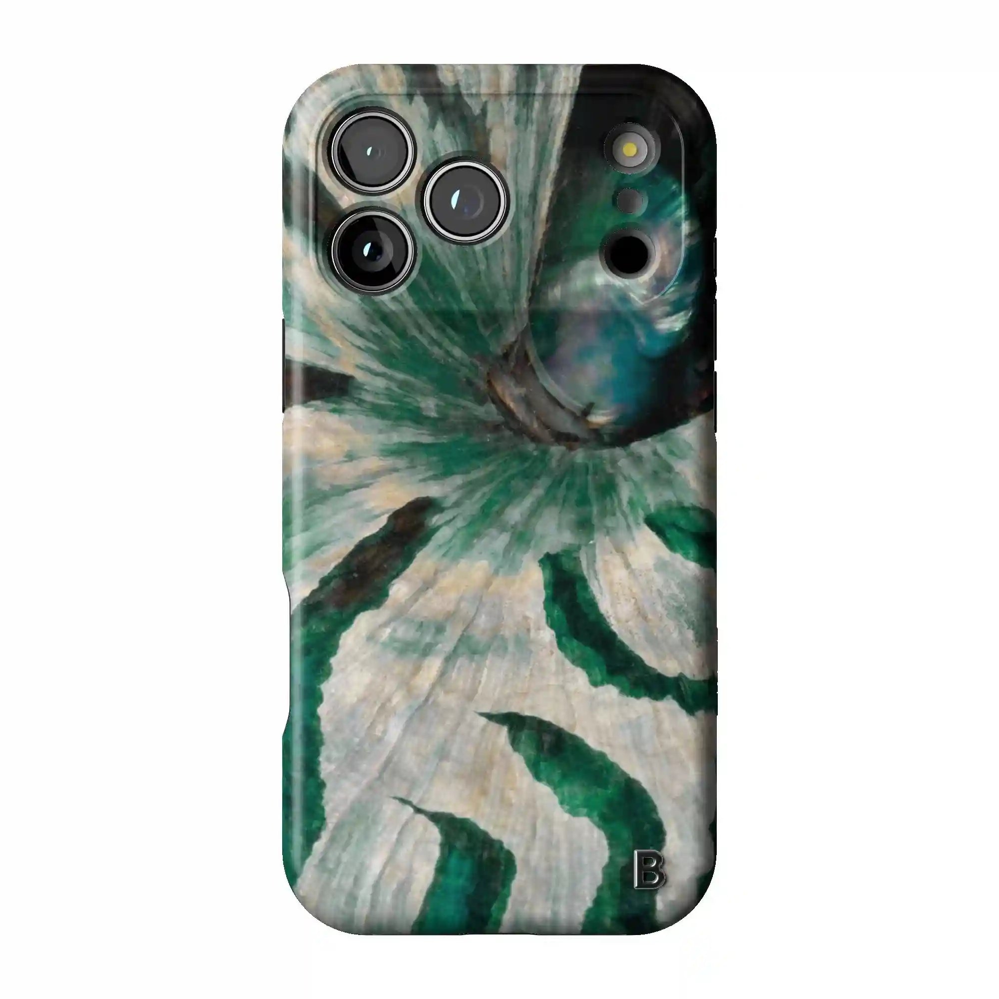 bluntcasesonline.com