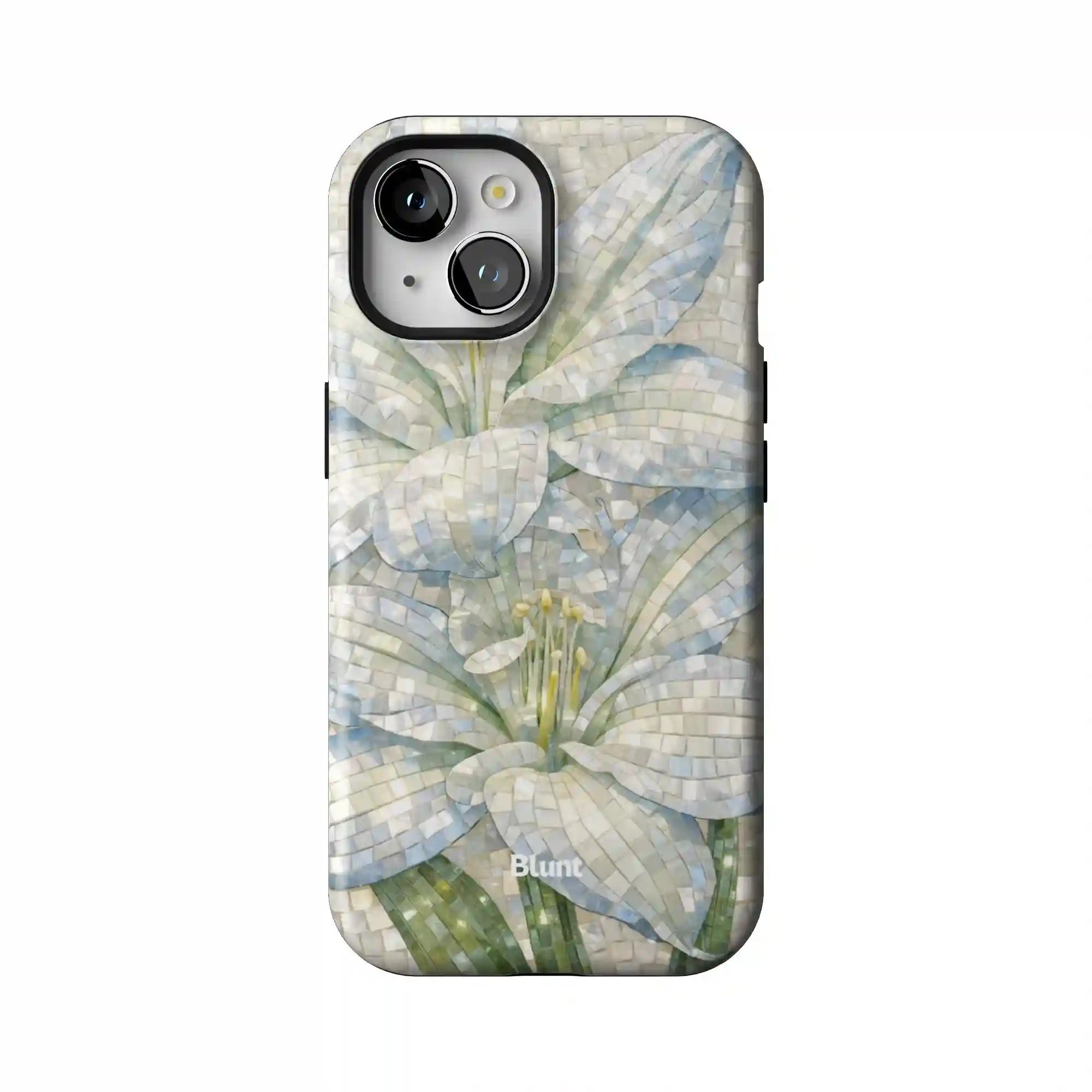bluntcasesonline.com