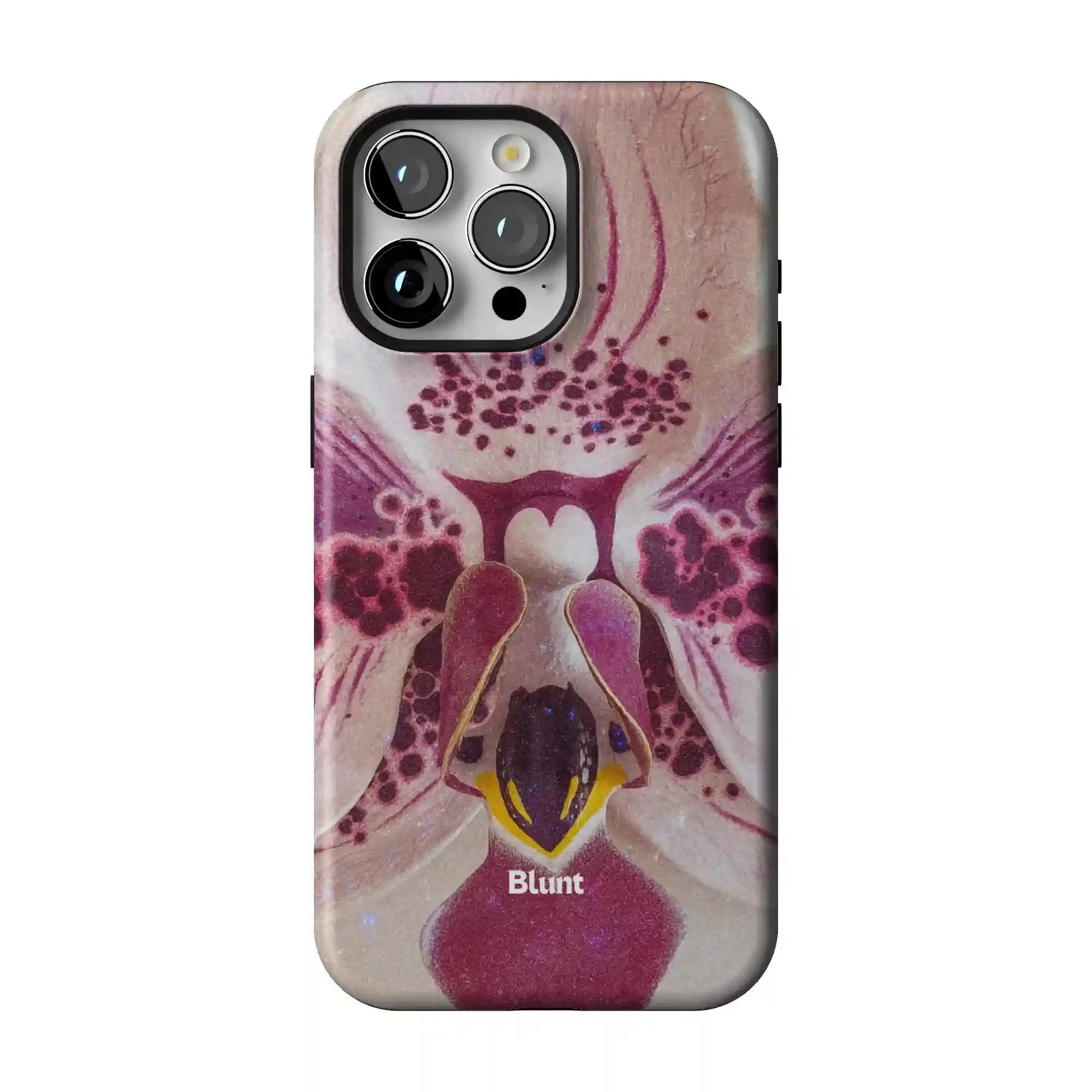 bluntcasesonline.com