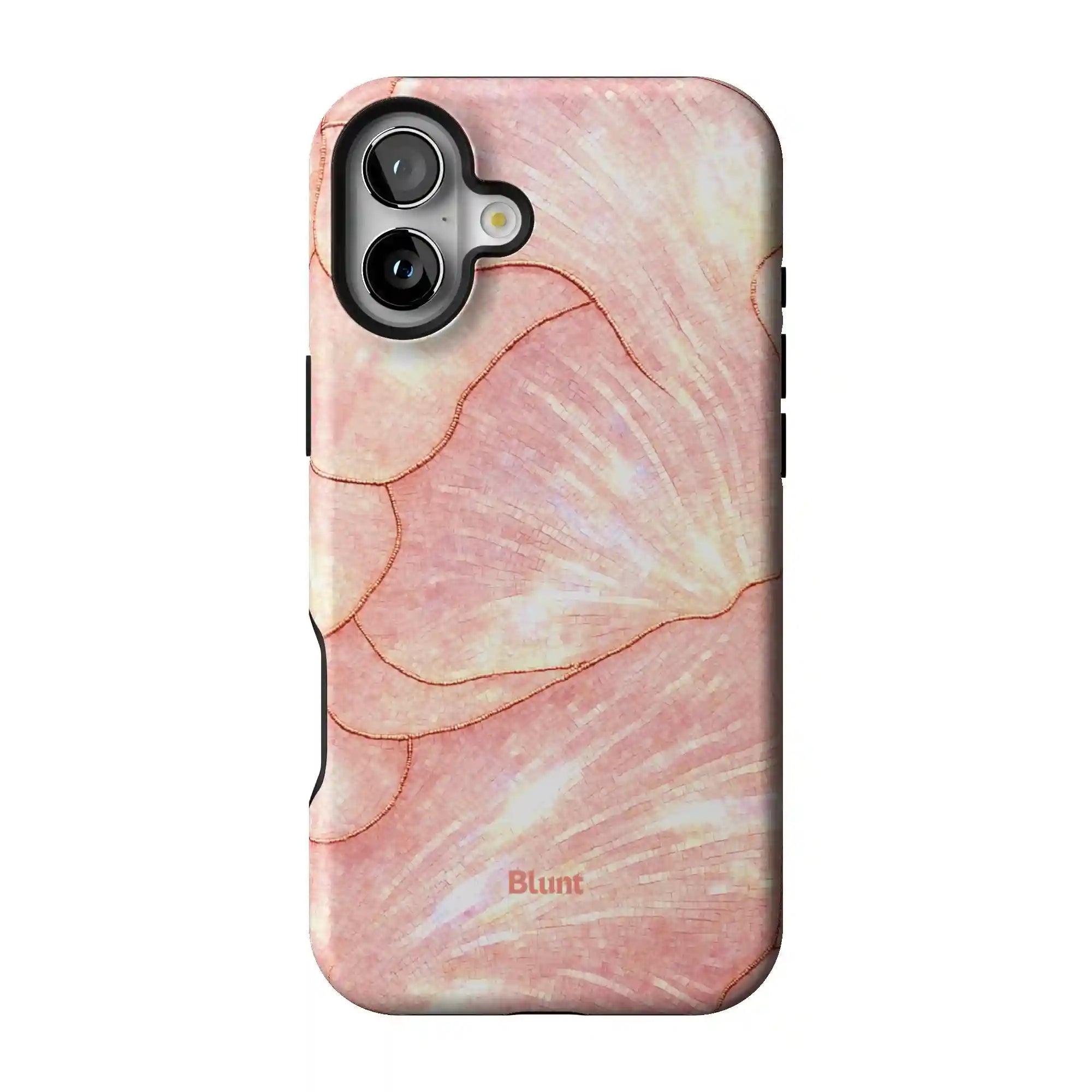bluntcasesonline.com