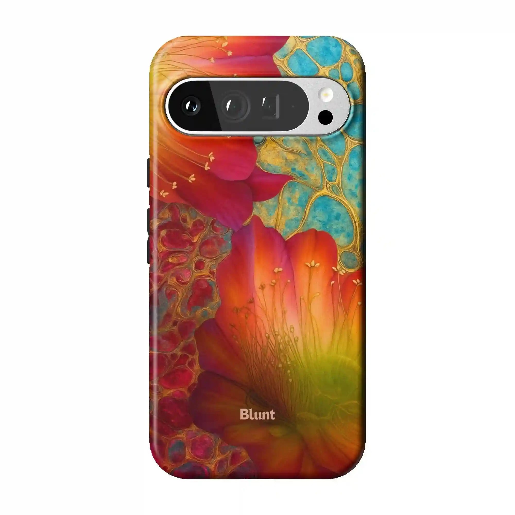 bluntcasesonline.com