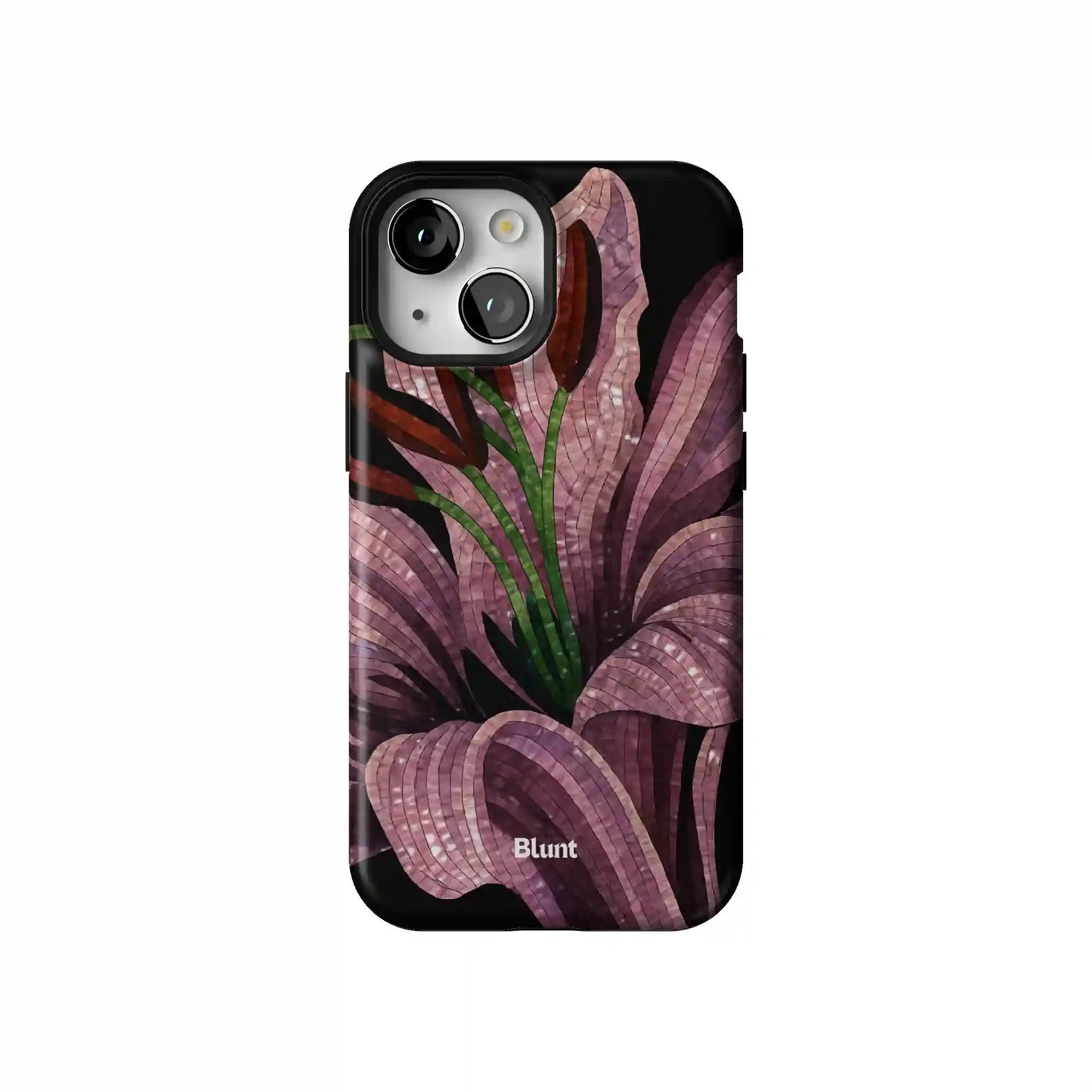 bluntcasesonline.com